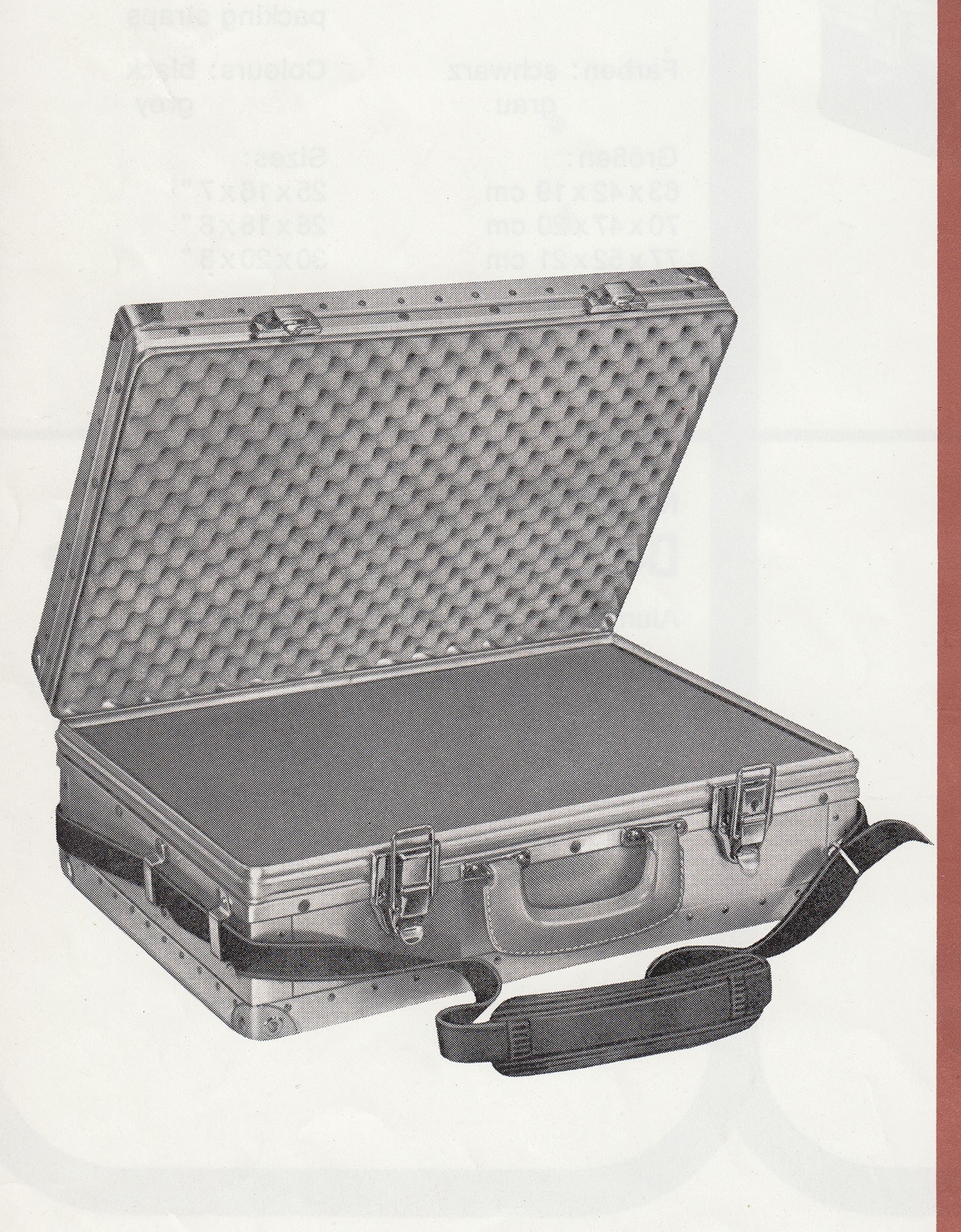 Rimowa Book Rizzoli suitcase