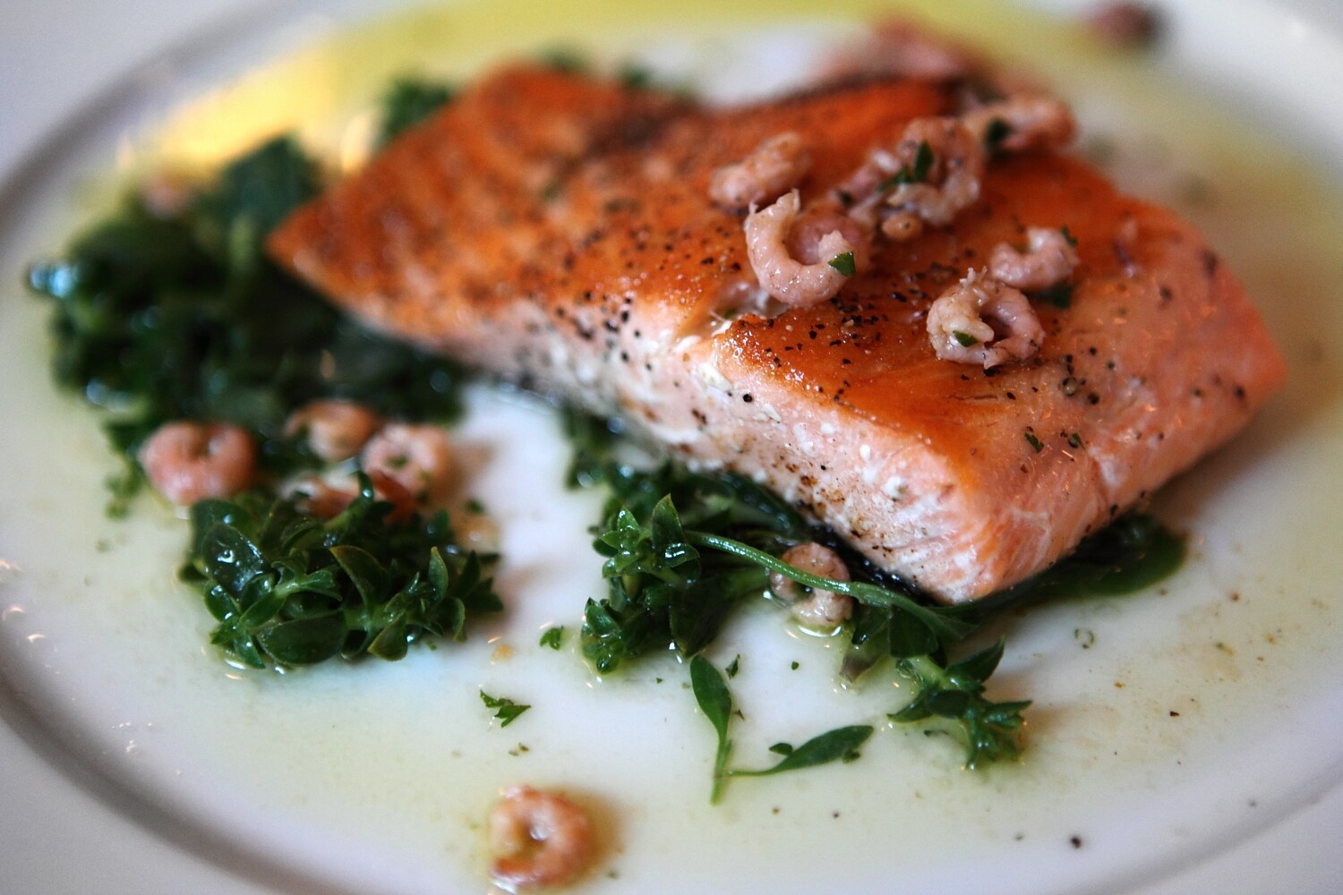 Sea trout with brown shrimp butter at the Rivington
