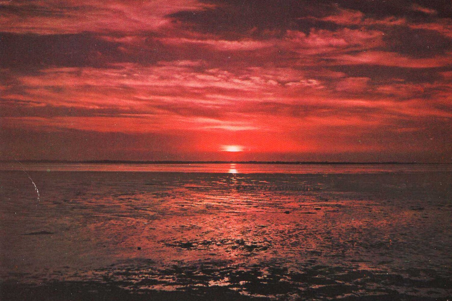 Postcard from Sunsets From...