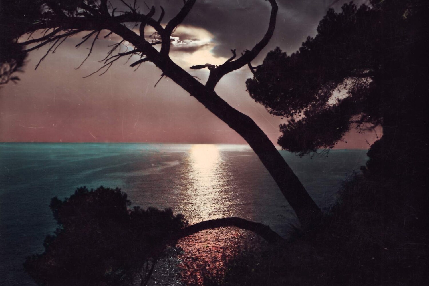 Postcard from Sunsets From...