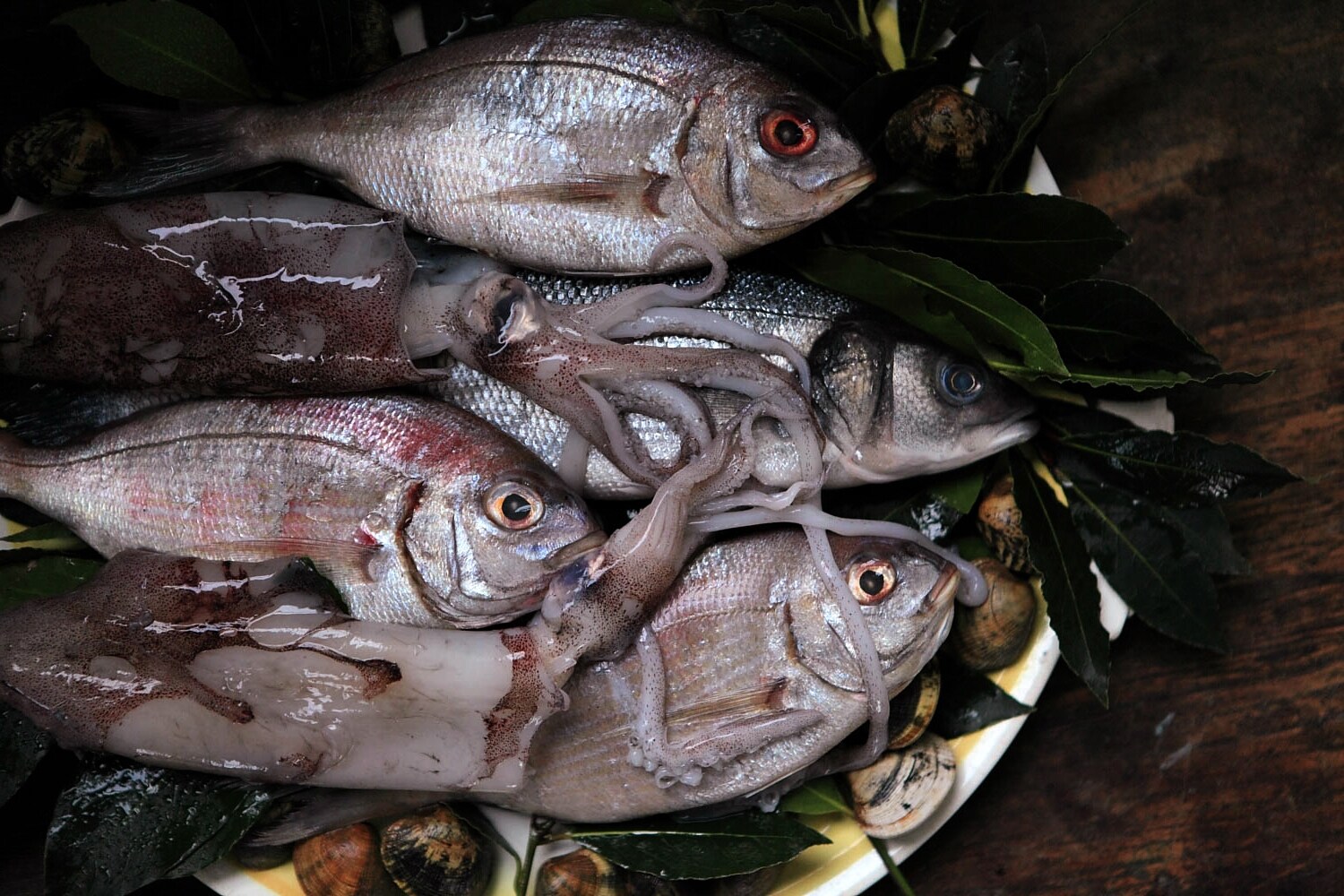 Snapper, squid, cornish sea bass and clams from FC Soper