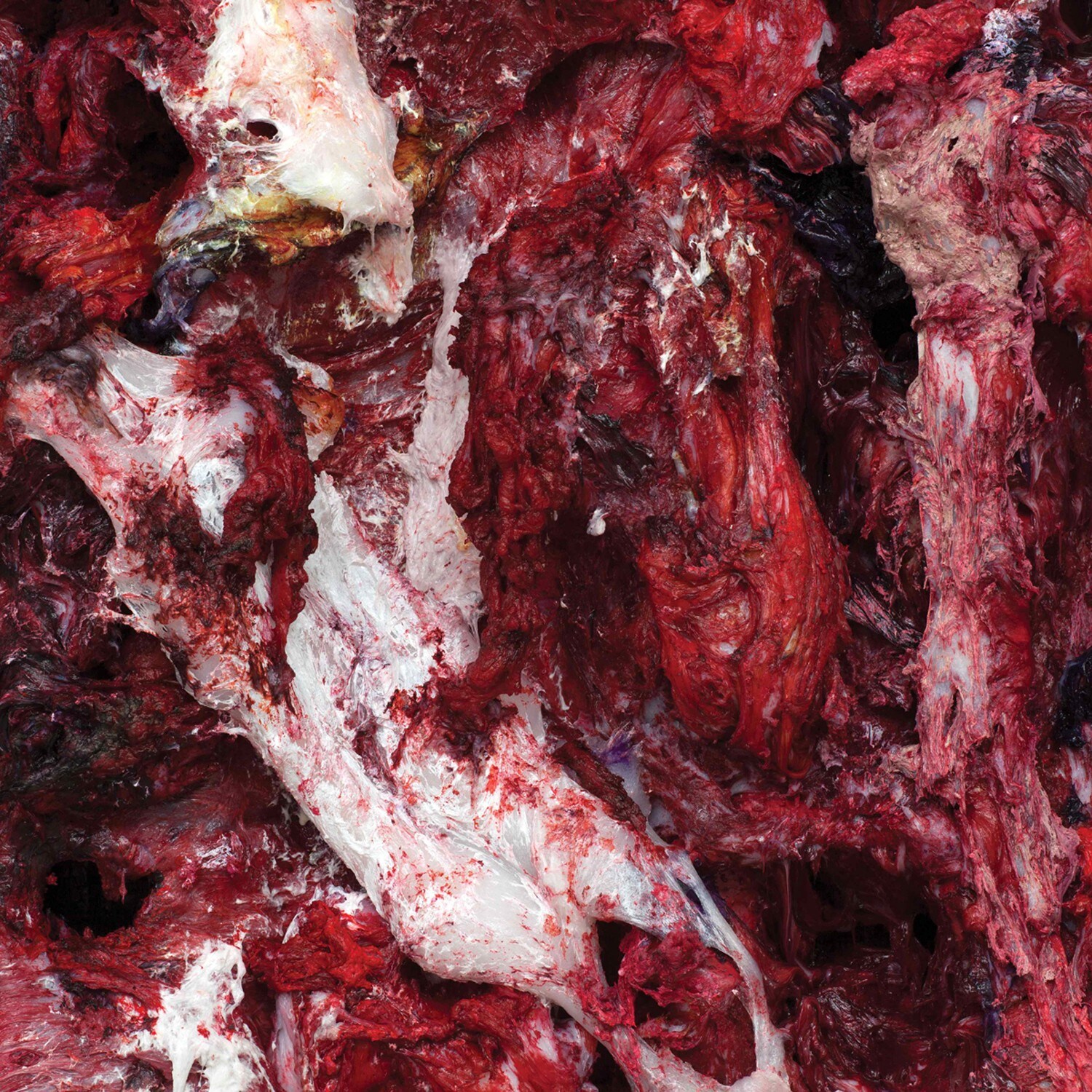 Anish Kapoor, 2015, Silicone