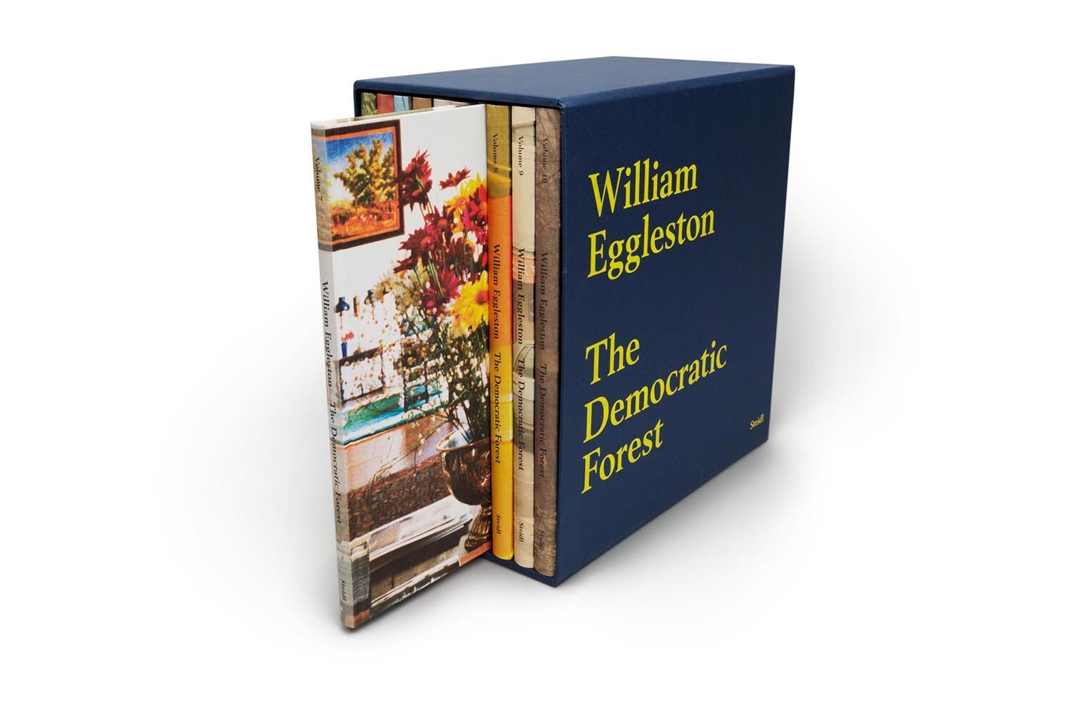 william-eggleston-the-democratic-forest-WB-002