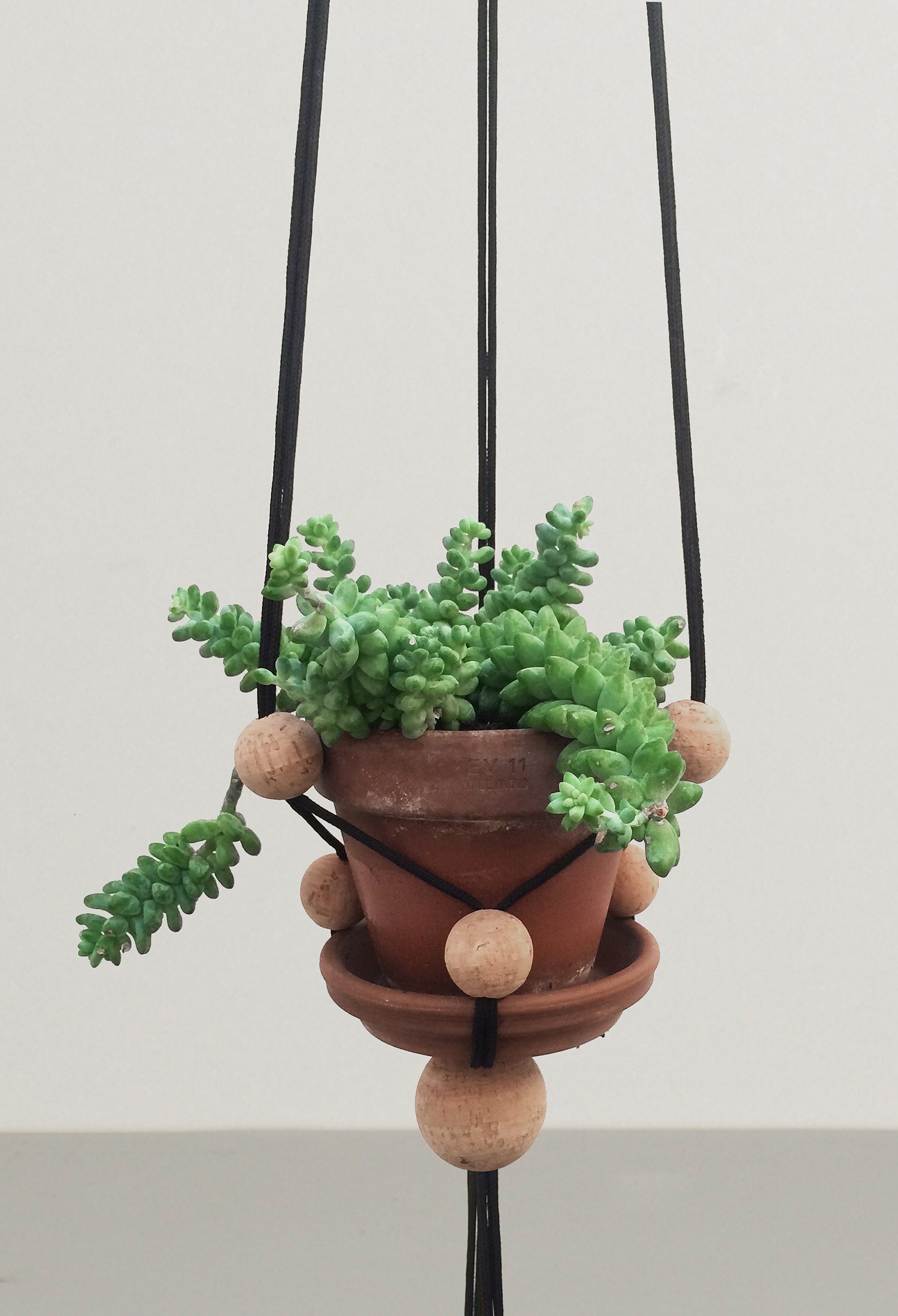 ZET_ClerkenwellLondon_CDW2016_KiaUtzonFrank_Plant-