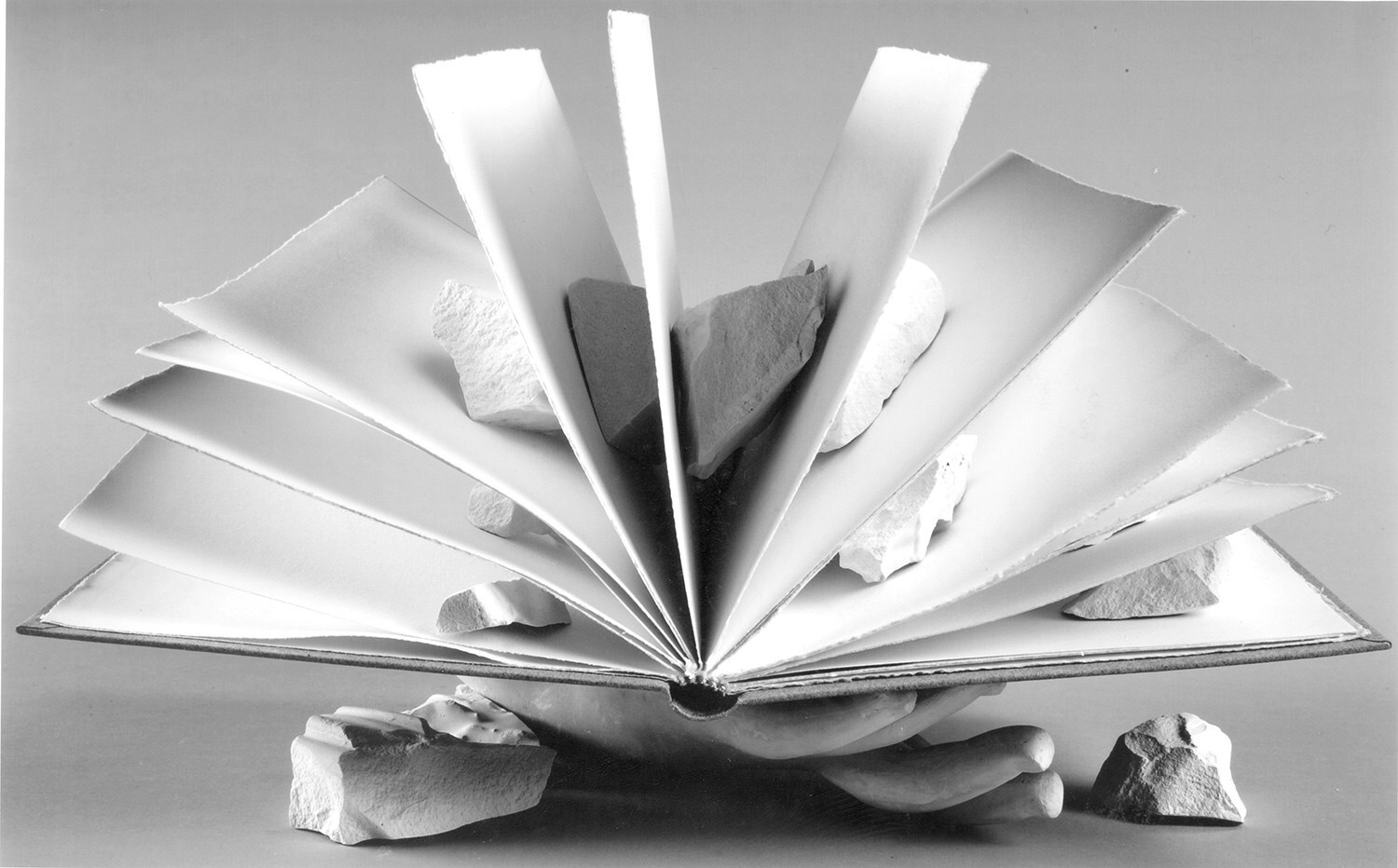 17 - Giulio Paolini