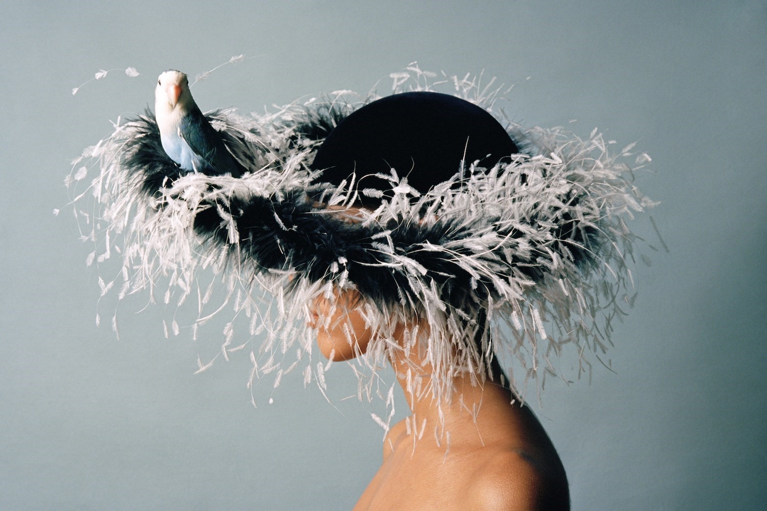 Why We Love the Unapologetic Campness of Feathers