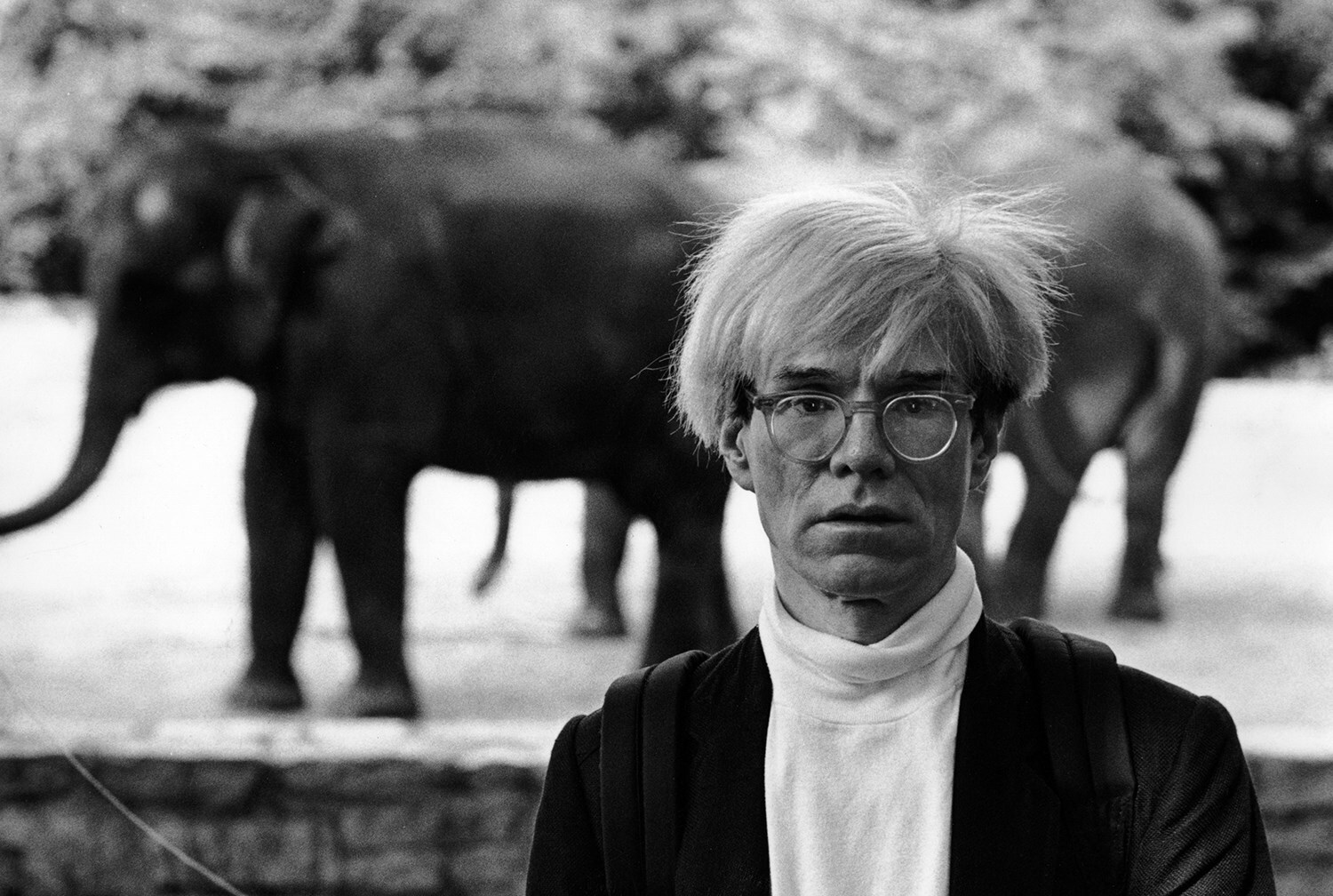 19830612_Andy Warhol elephant