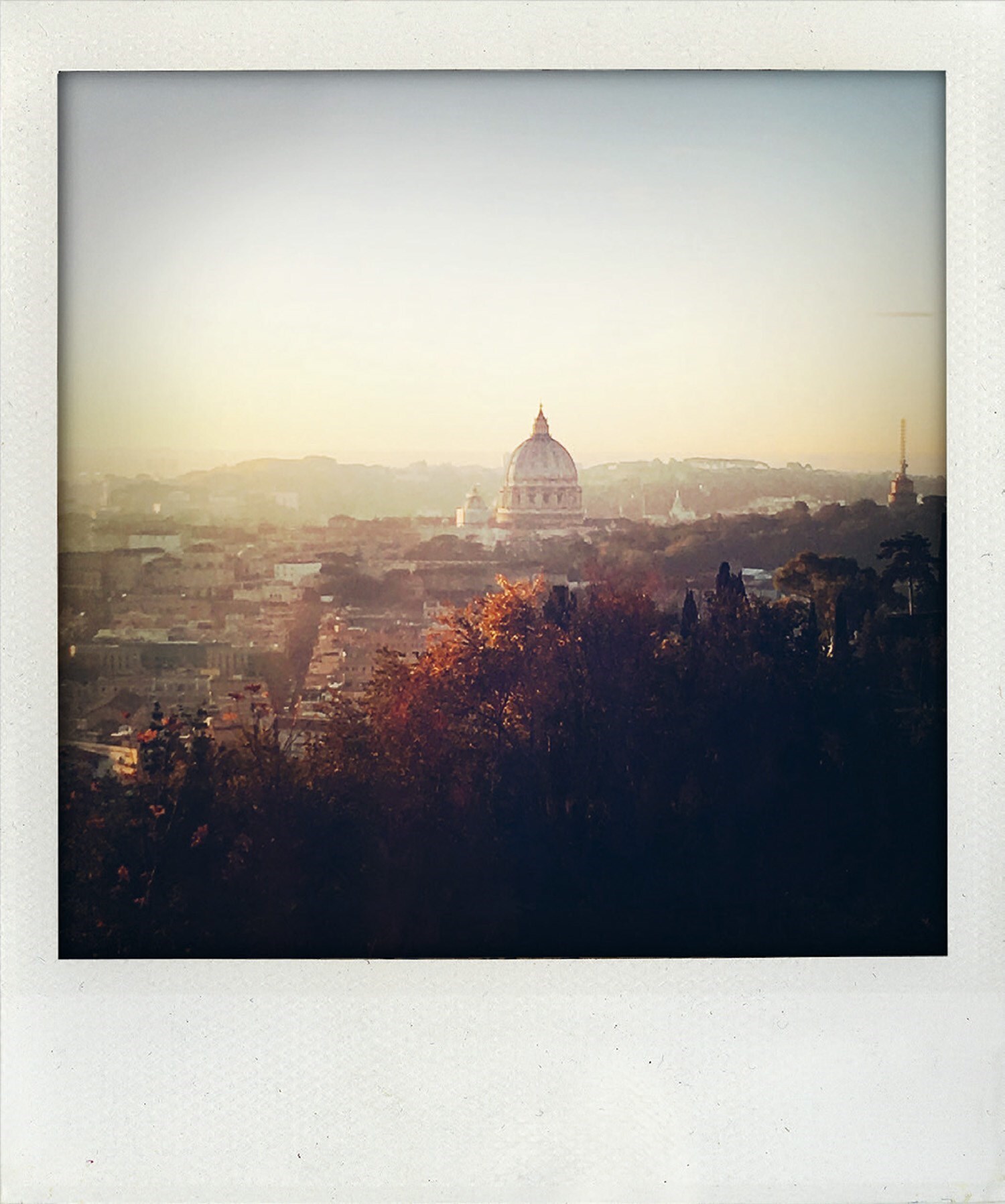 Polaroids by Nick Cave