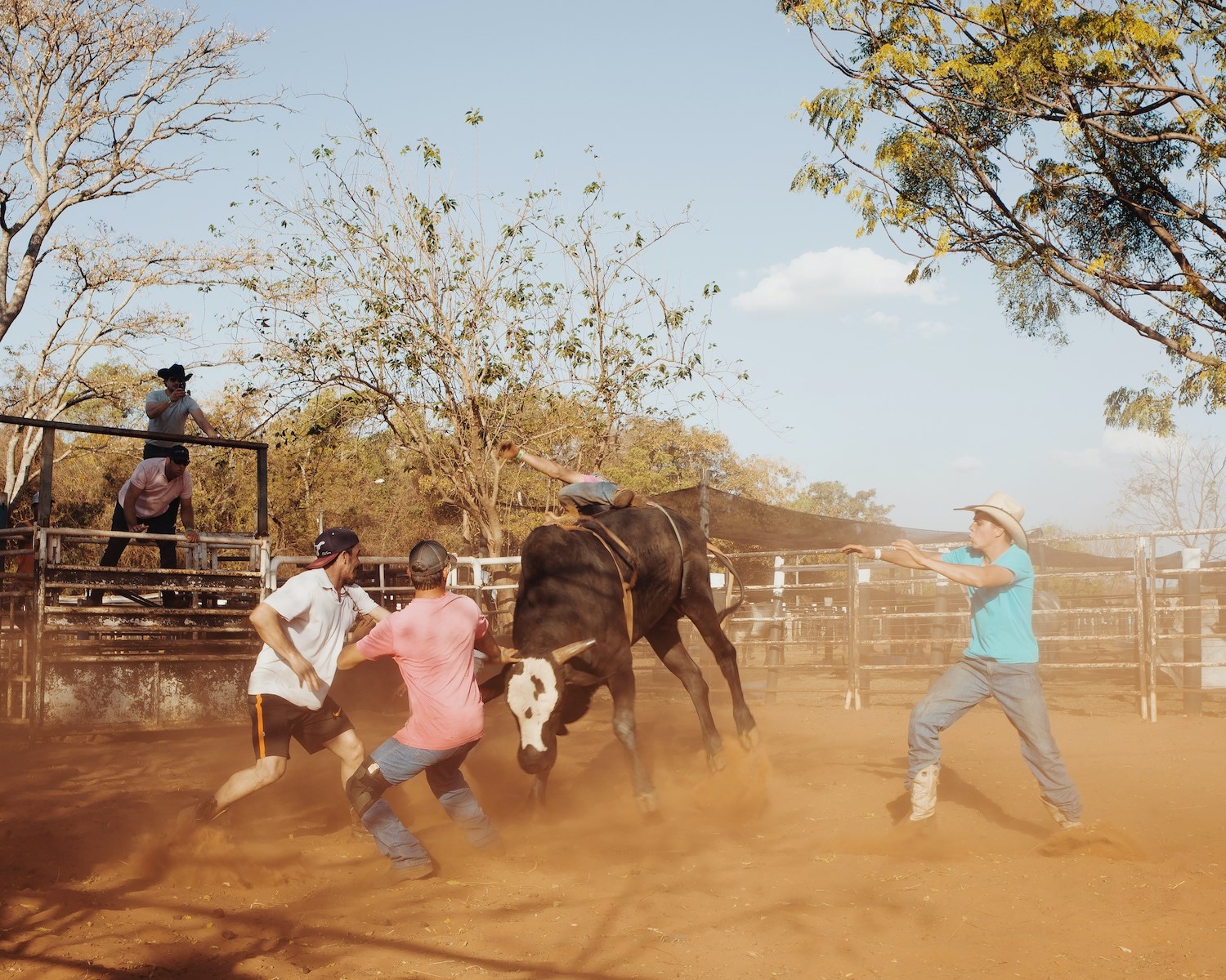 Luisa Dorr In the American South cowboy culture Brazil