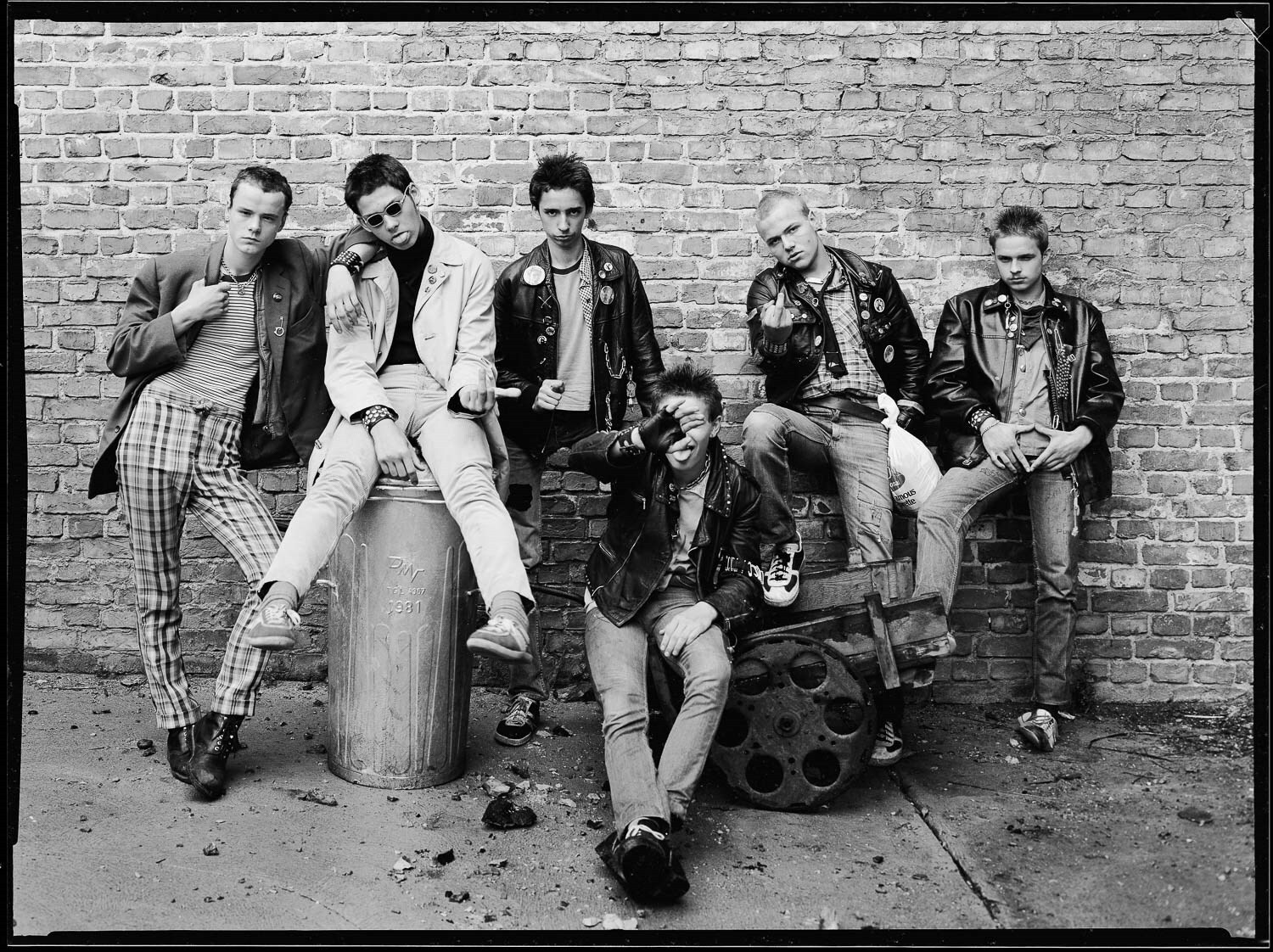 Rudolf Schäfer, Reproduktion_Generation_Punkjungs