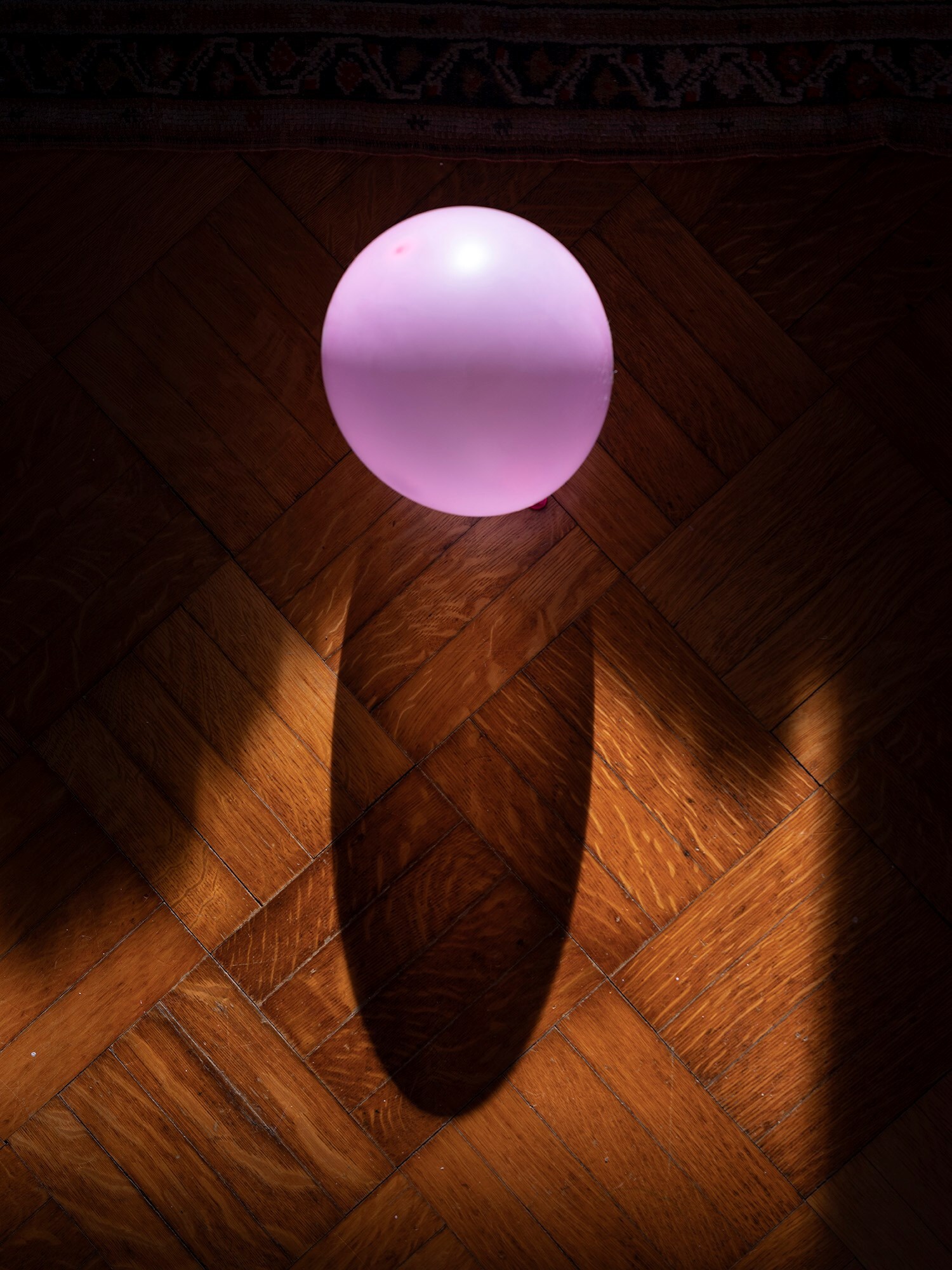 IN by Benjamin Donaldson, Ottilie Leete, and Lisa Kereszi