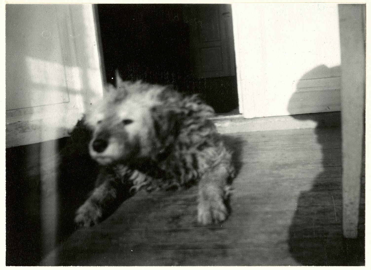 13. Munch_s Dog _Fips_