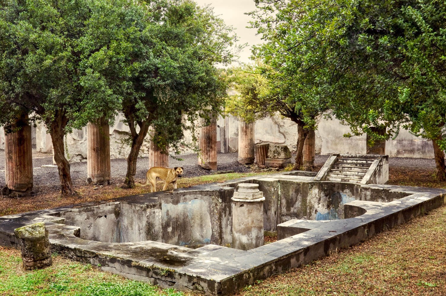 House of Meleager, Pompeii, Italy