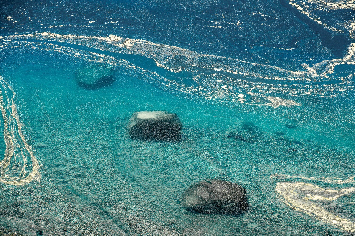 Pollen floating on the surface of Crater Lake in Oregon