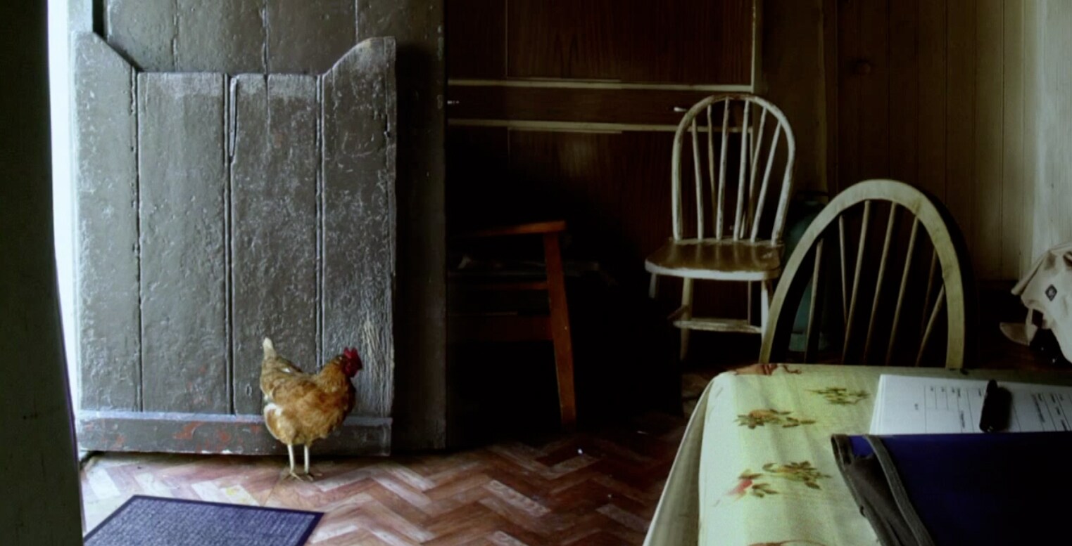 Still from Irish Folk Furniture, 2012
