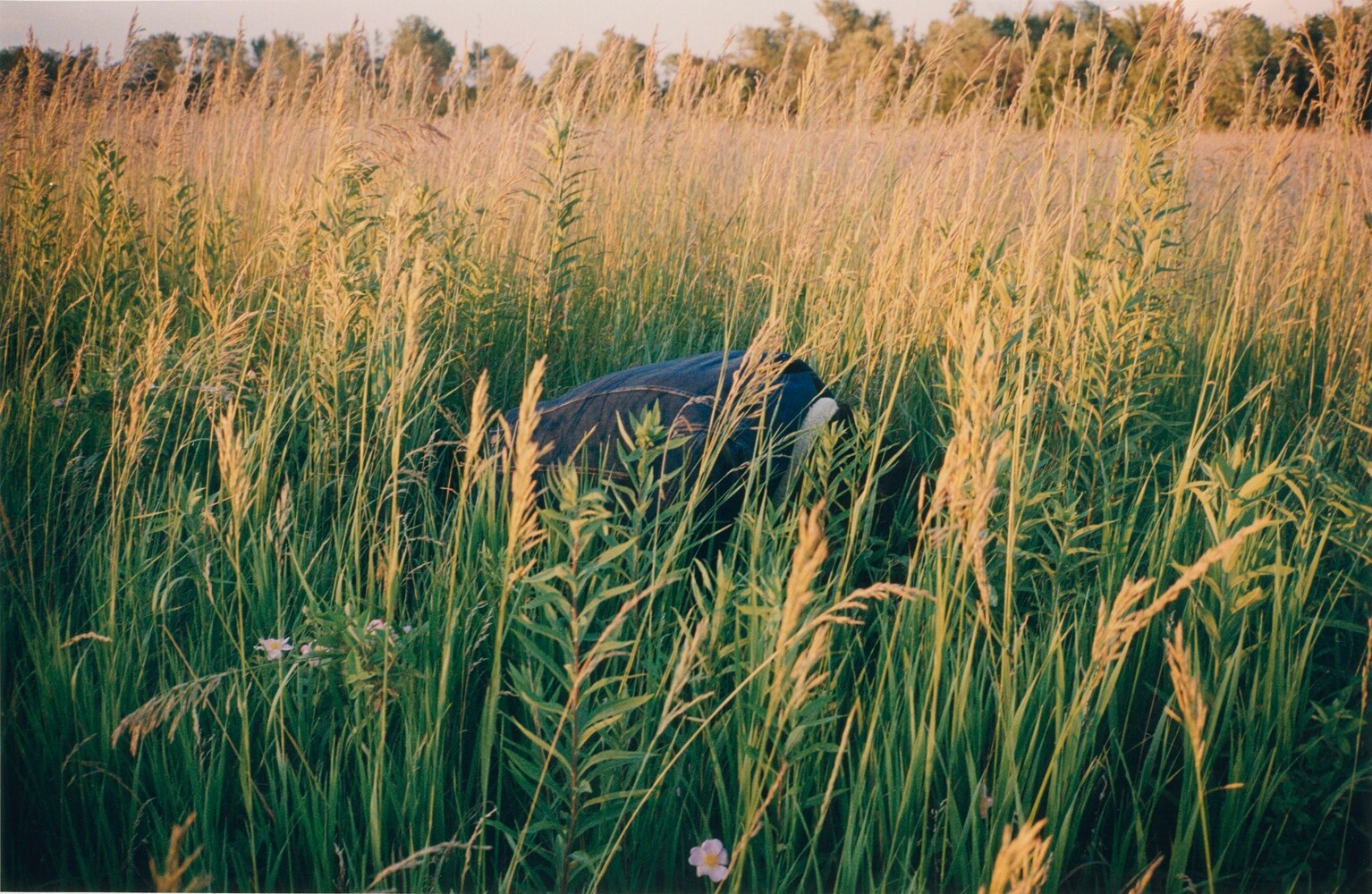 Photography by Niall O&#39;Brien