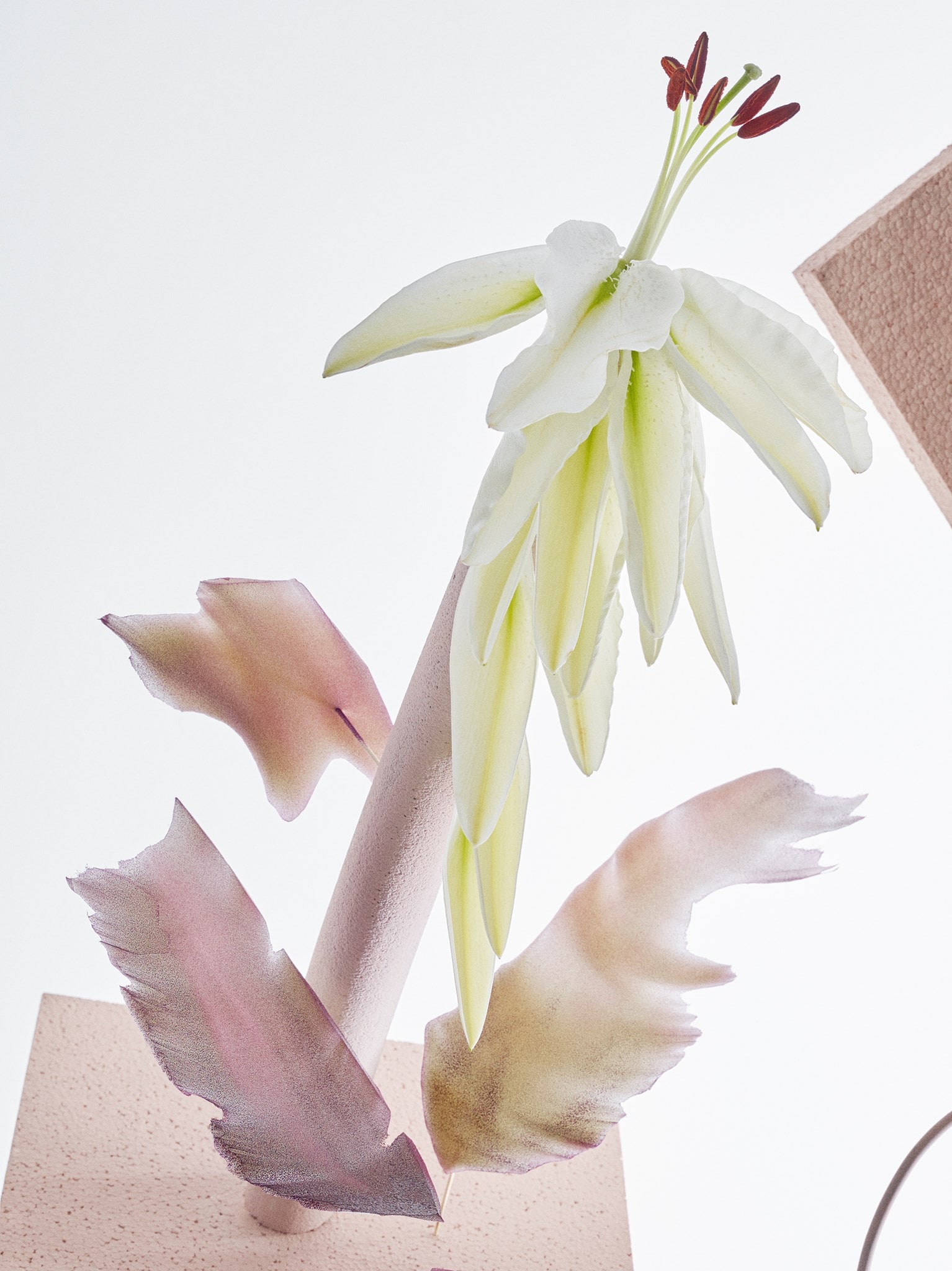 Metz+Racine_Andrew_Stellitano_02