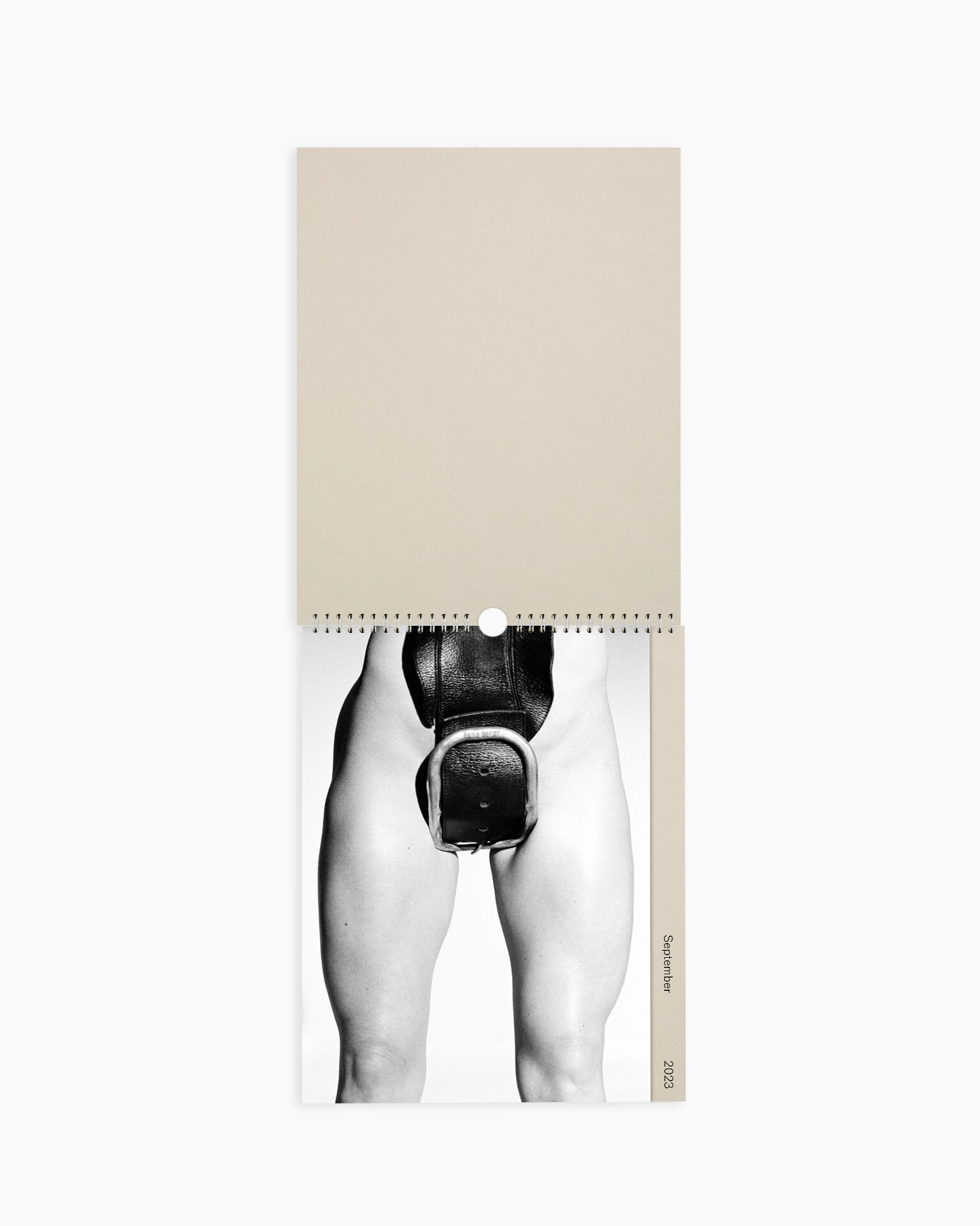 Routine Desire 2023 Calendar