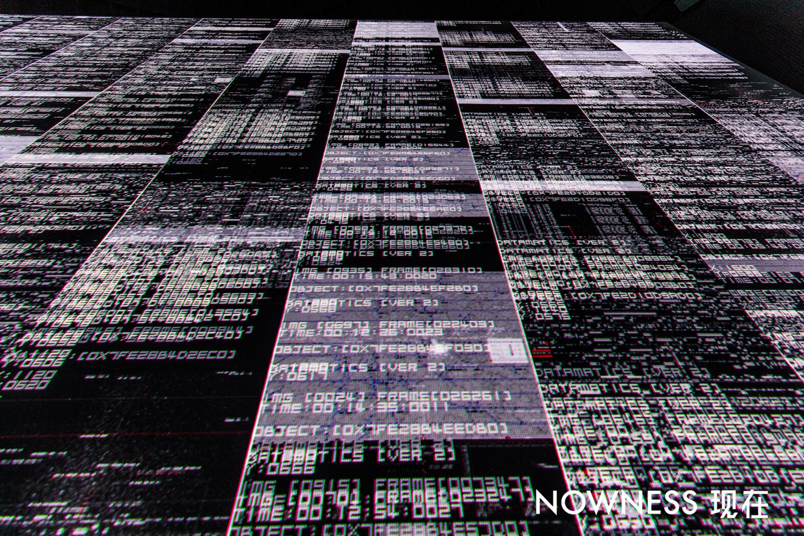 20181106-20181106-0Y6A0334