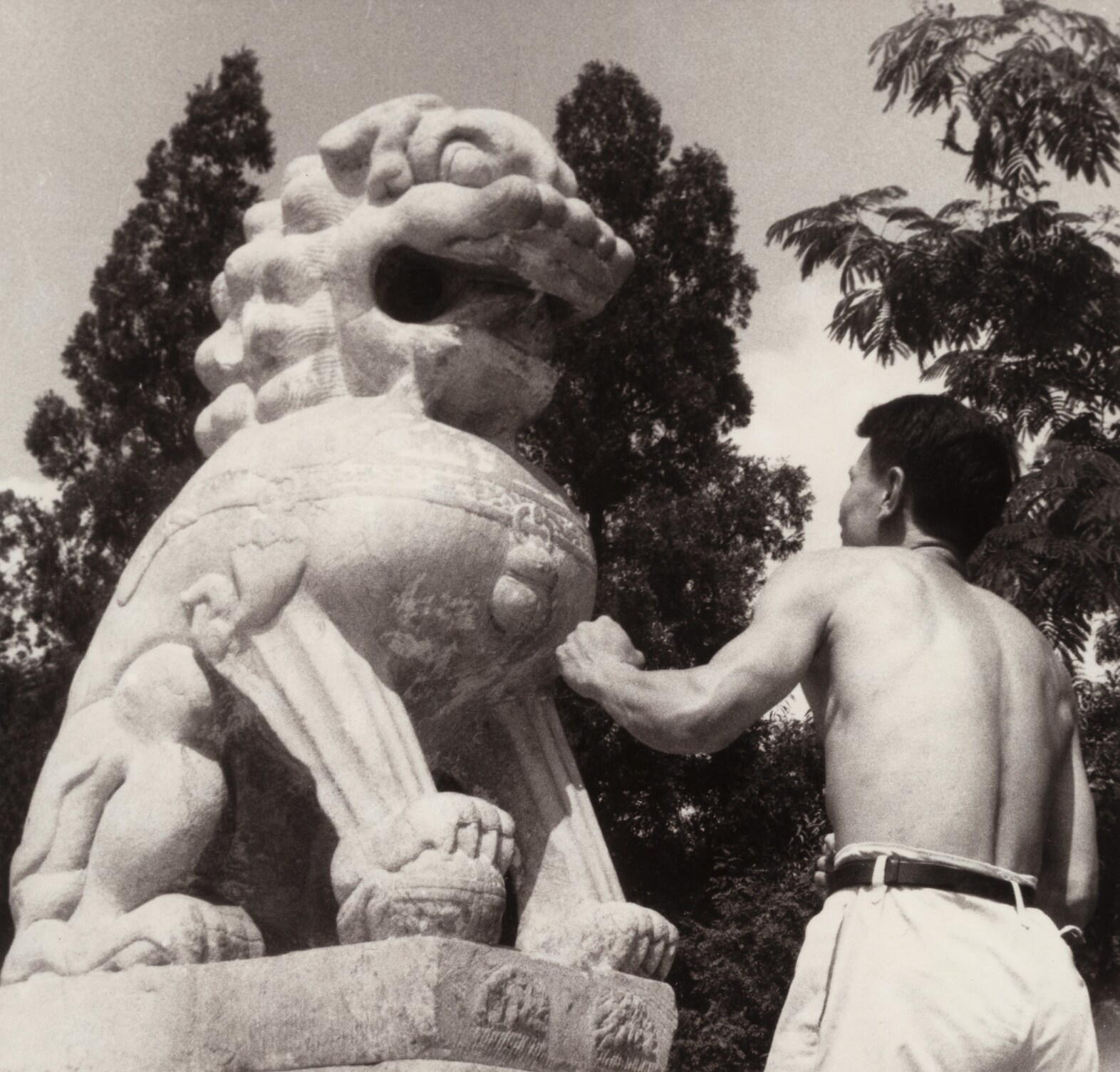 Untitled from History of Life Cai Dongdong book