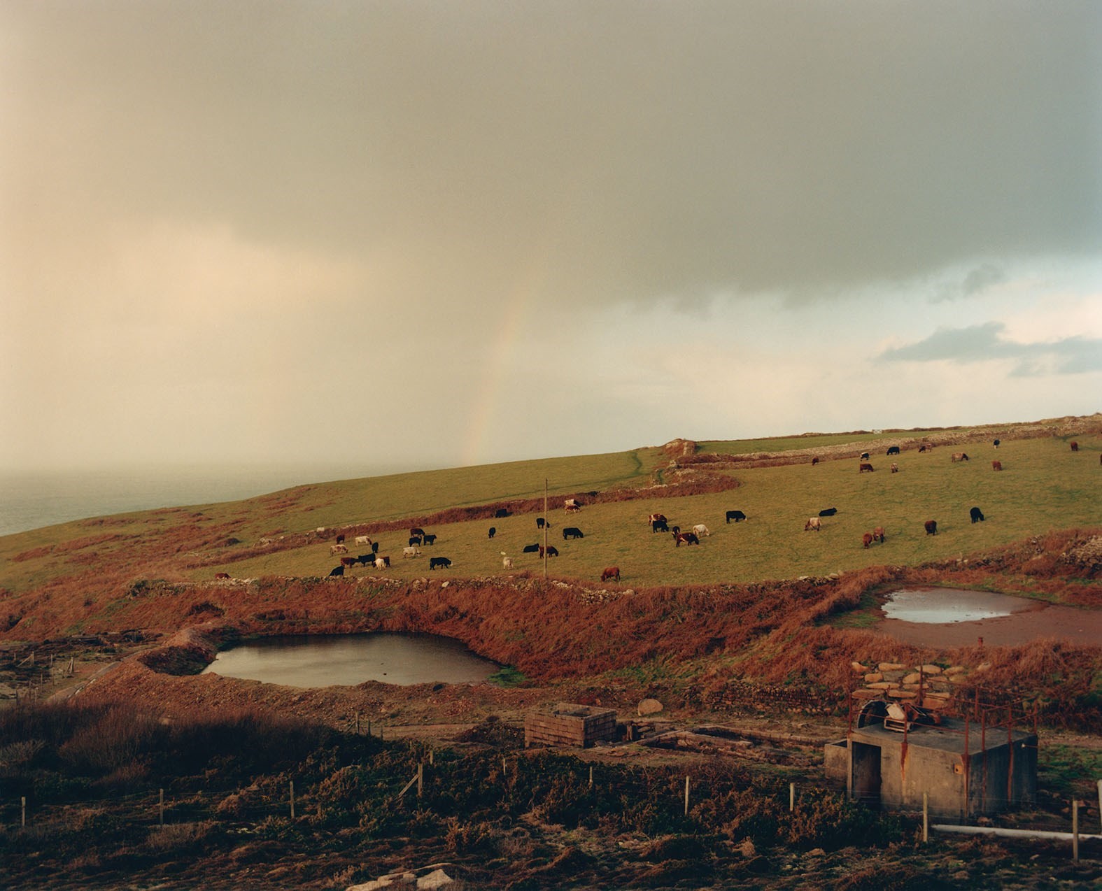 Jamie Hawkesworth photographer The British Isles book