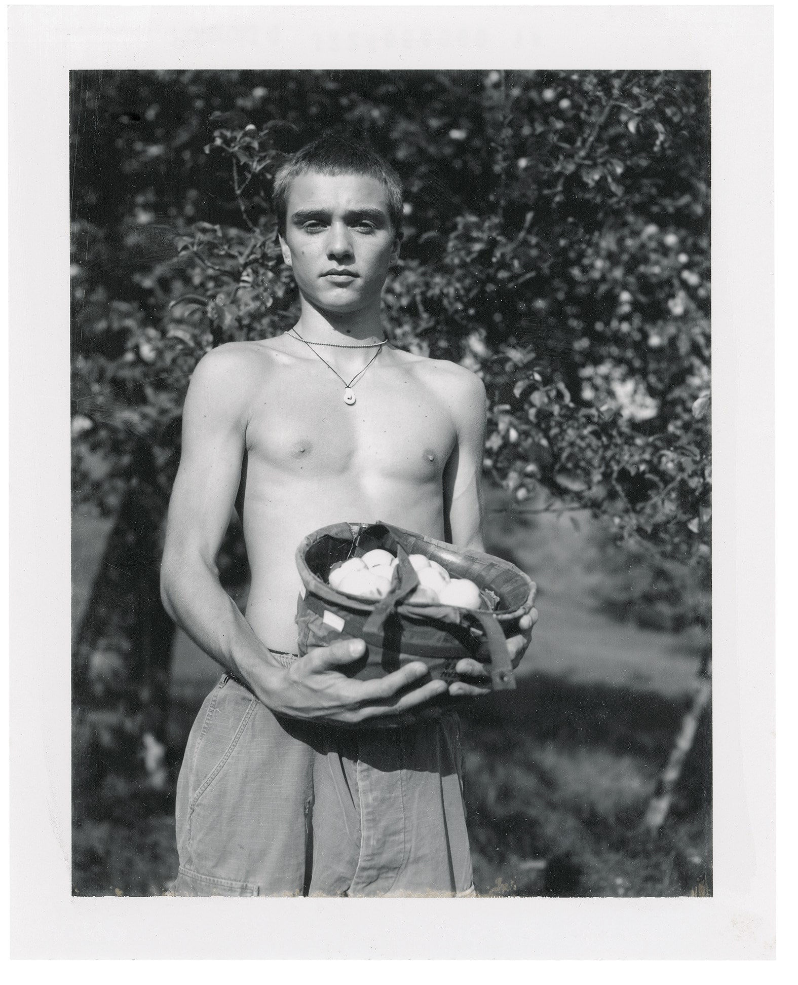 August by Collier Schorr Mack Books