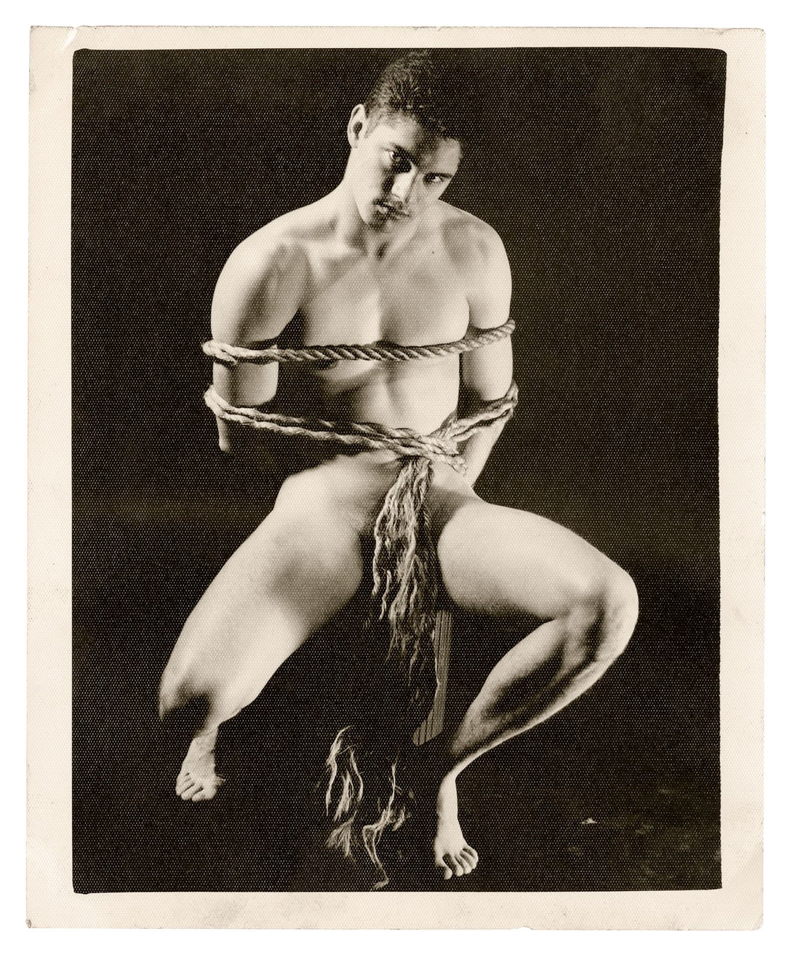 Physique by Vince Aletti