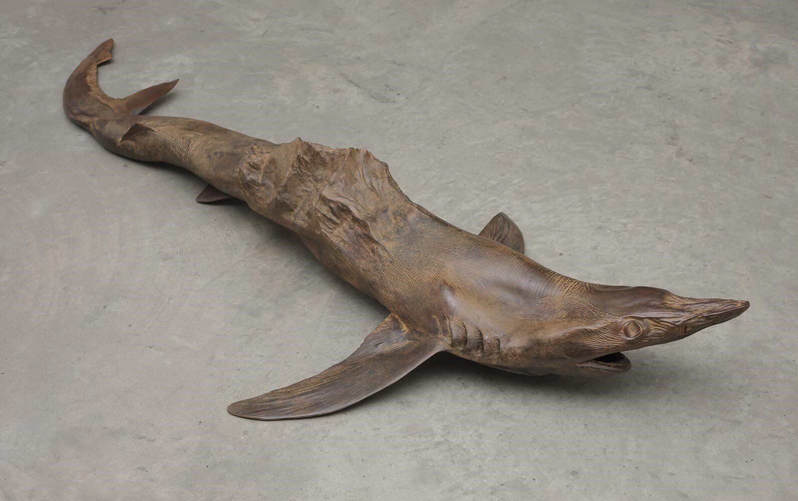 Dorothy-Cross,-Everest-Shark,-2013