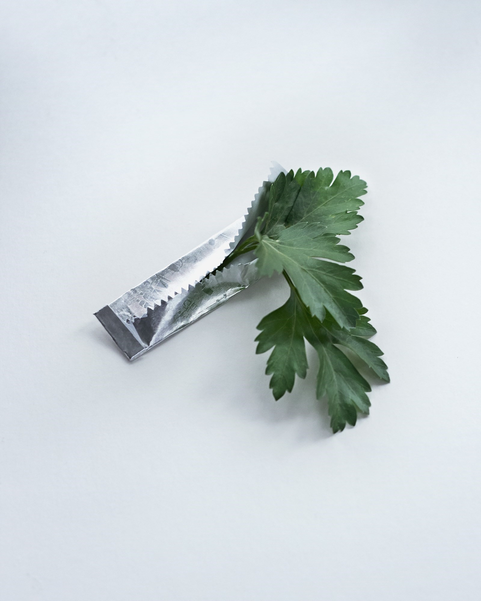 Another_Guide_To_Parsley