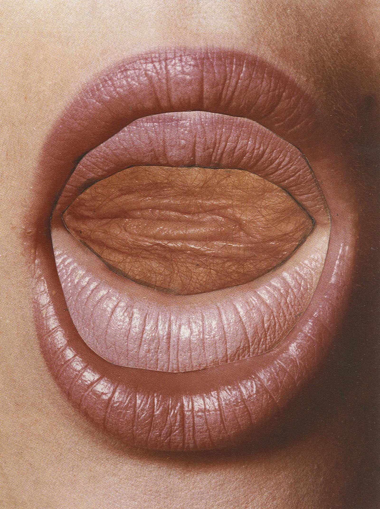 Read My Lips_1973_Penrose collection