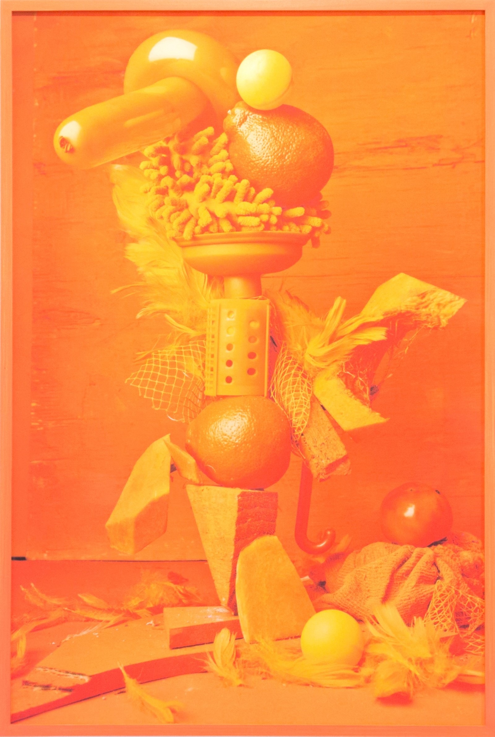 14. Lorenzo Vitturi, Orange from the series Droste
