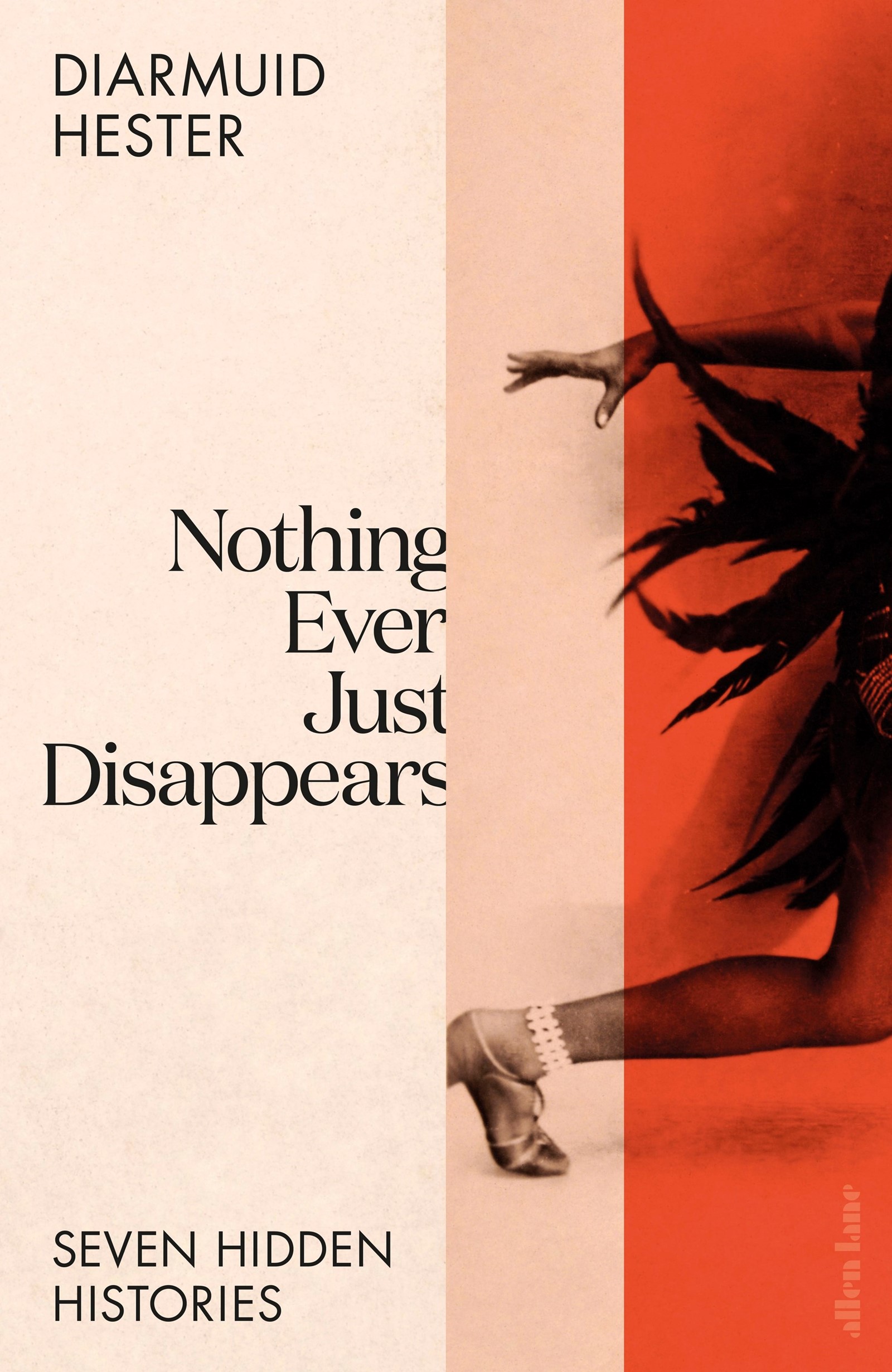 Book jacket_ Nothing Ever Just Disappears HB