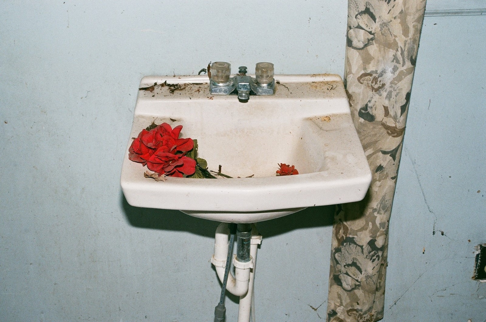 Lorena Lohr, Sink with Roses, Virginia