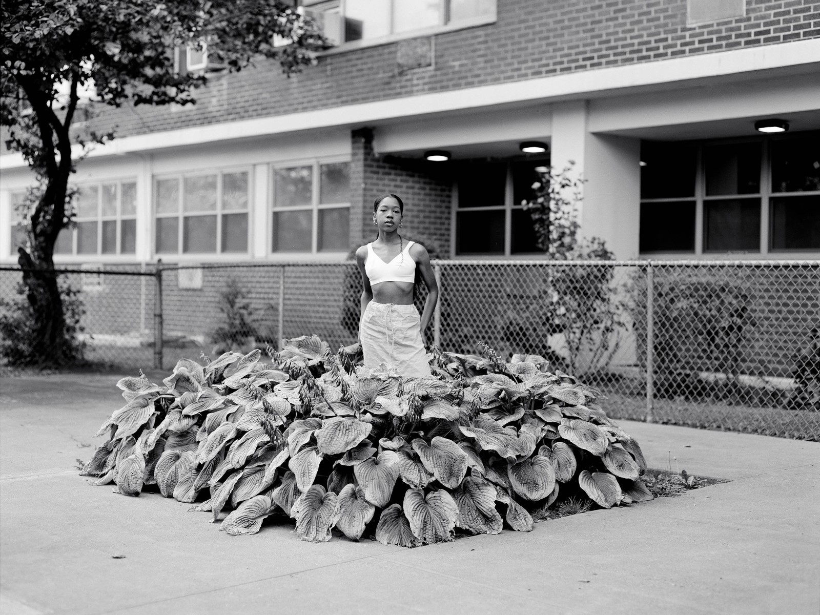 Widening the Lens at the Carnegie Museum of Art