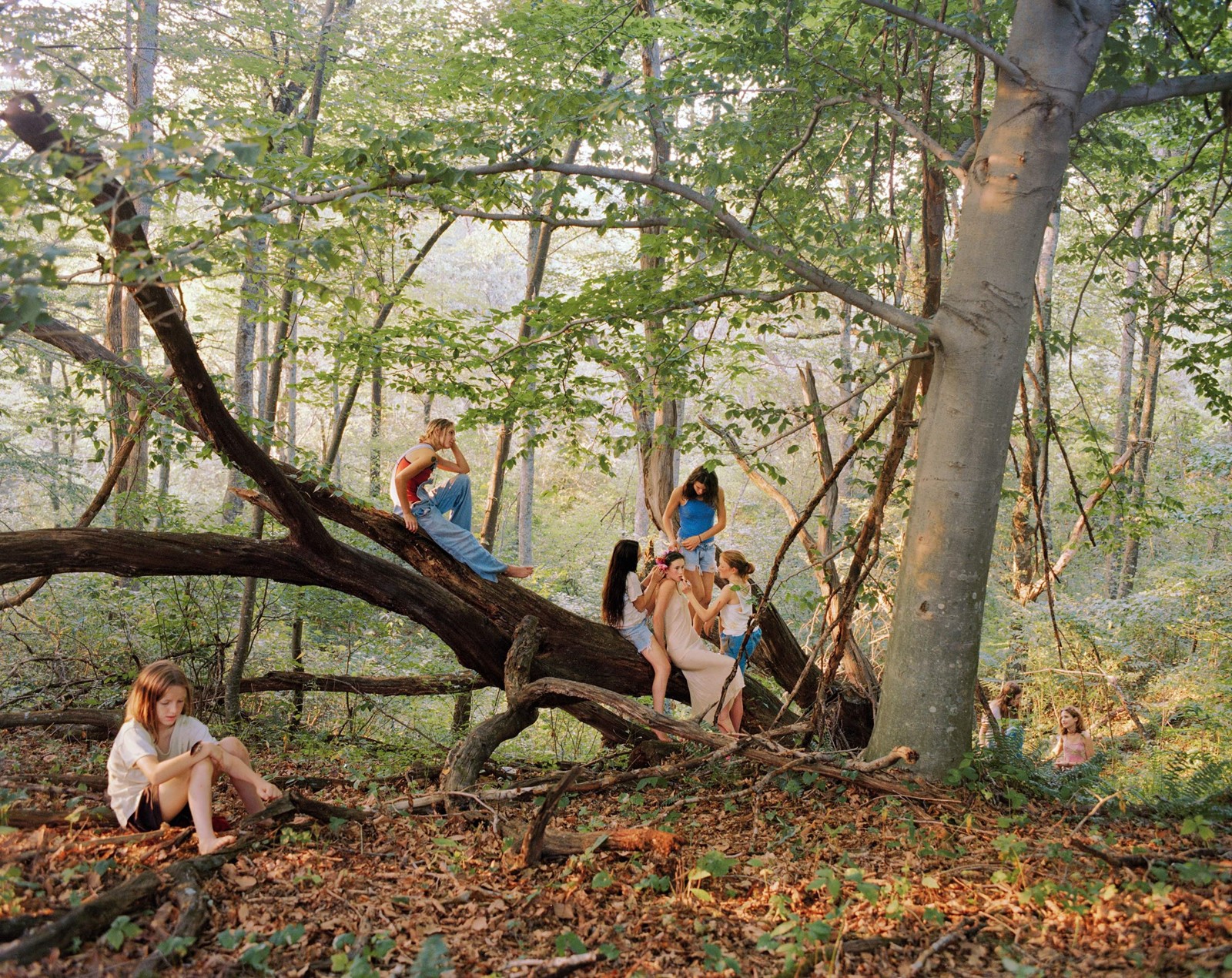 Widening the Lens at the Carnegie Museum of Art