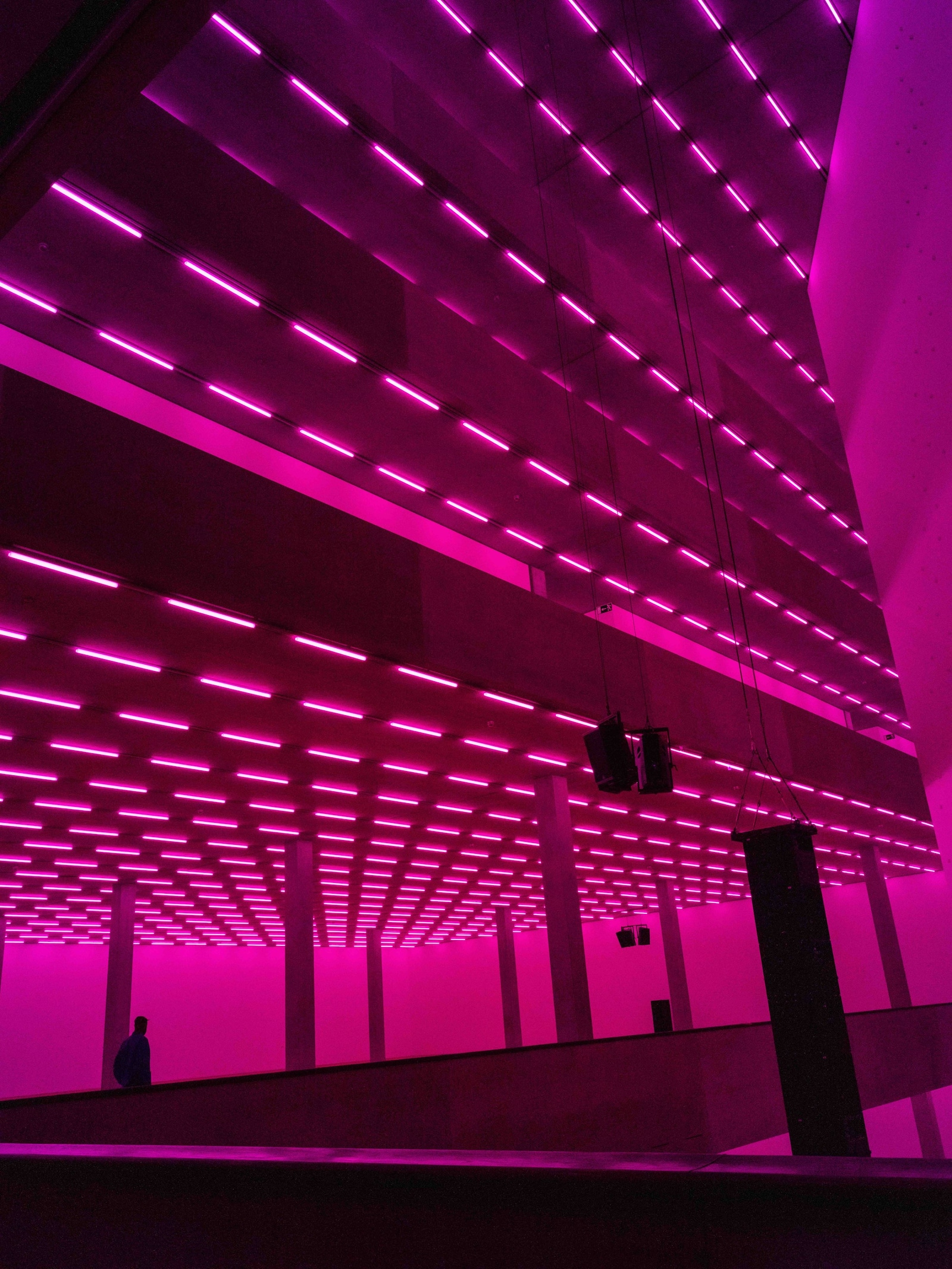 Bass by Steve McQueen