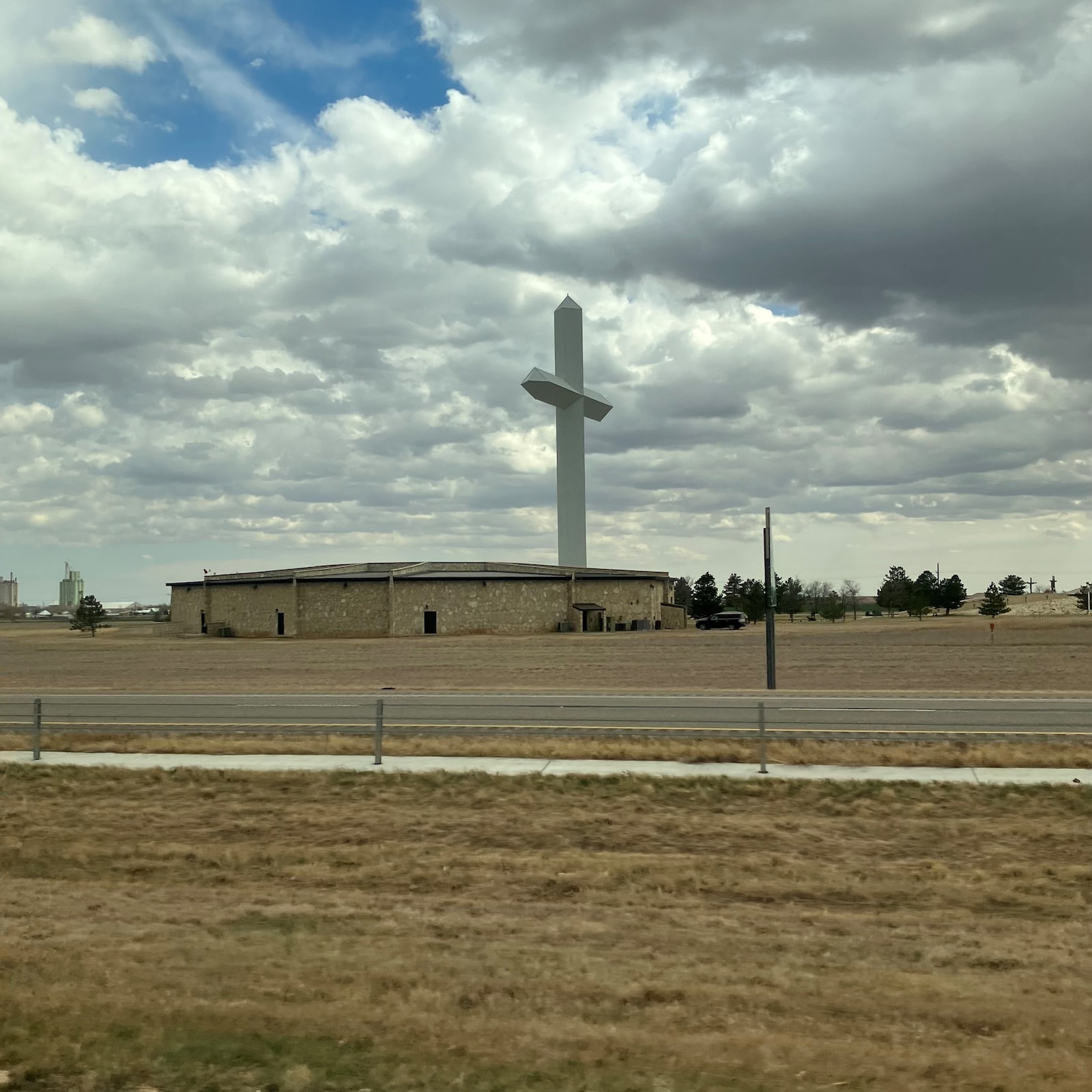 Greyhound by Joanna Pocock