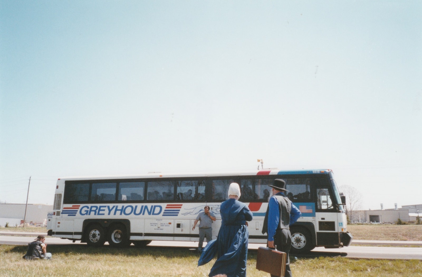 Greyhound de Joanna Pocock