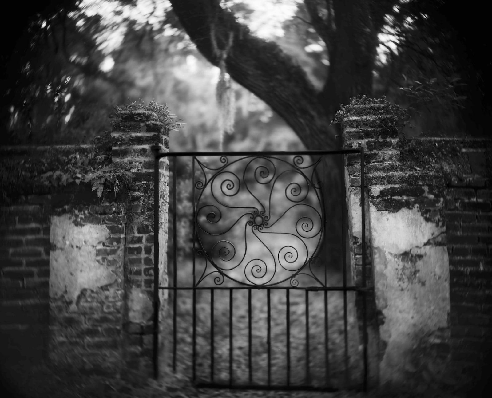 Art Work: On the Creative Life by Sally Mann