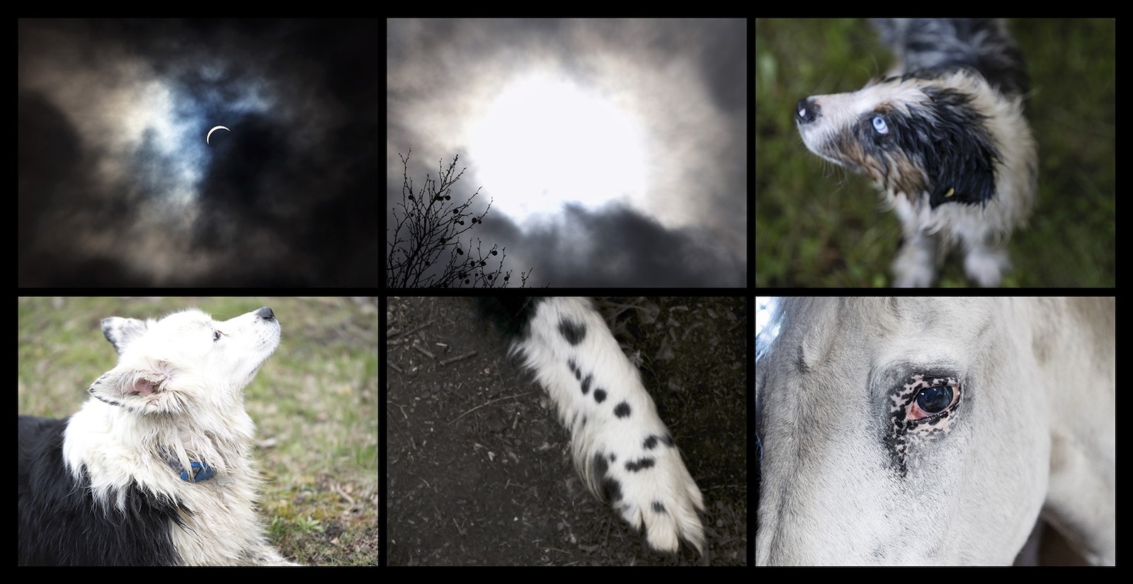 Esto no terminará bien por Nan Golden