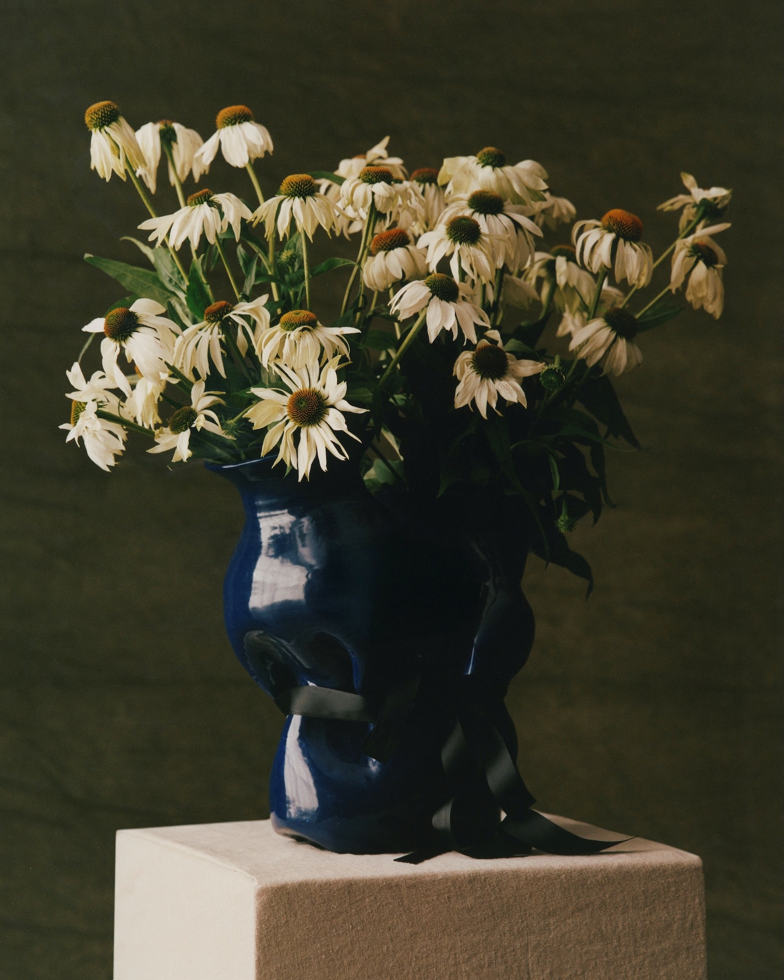 The Narcissist by Thevxlley