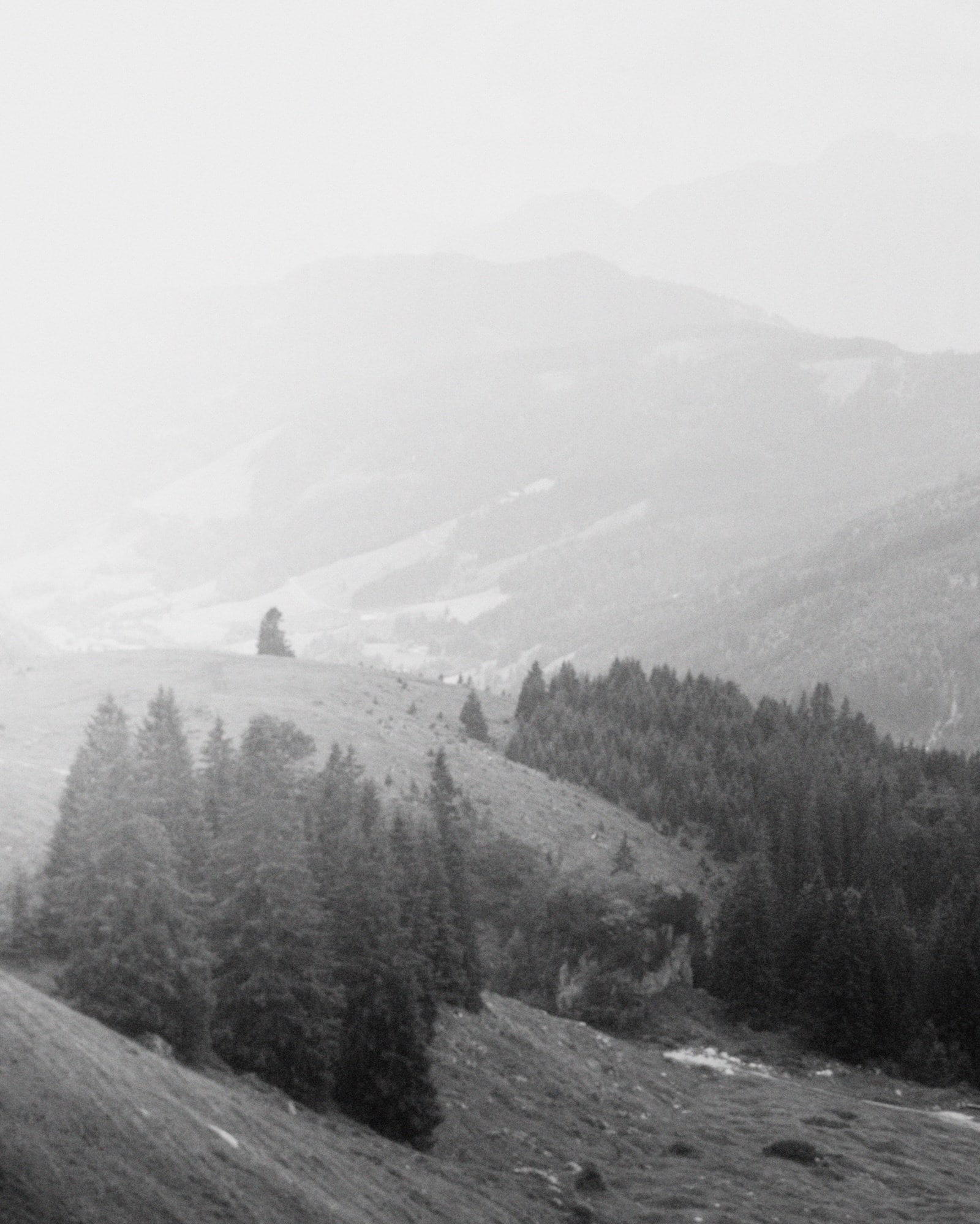 Fidan Novruzova Autumn/Winter 2026