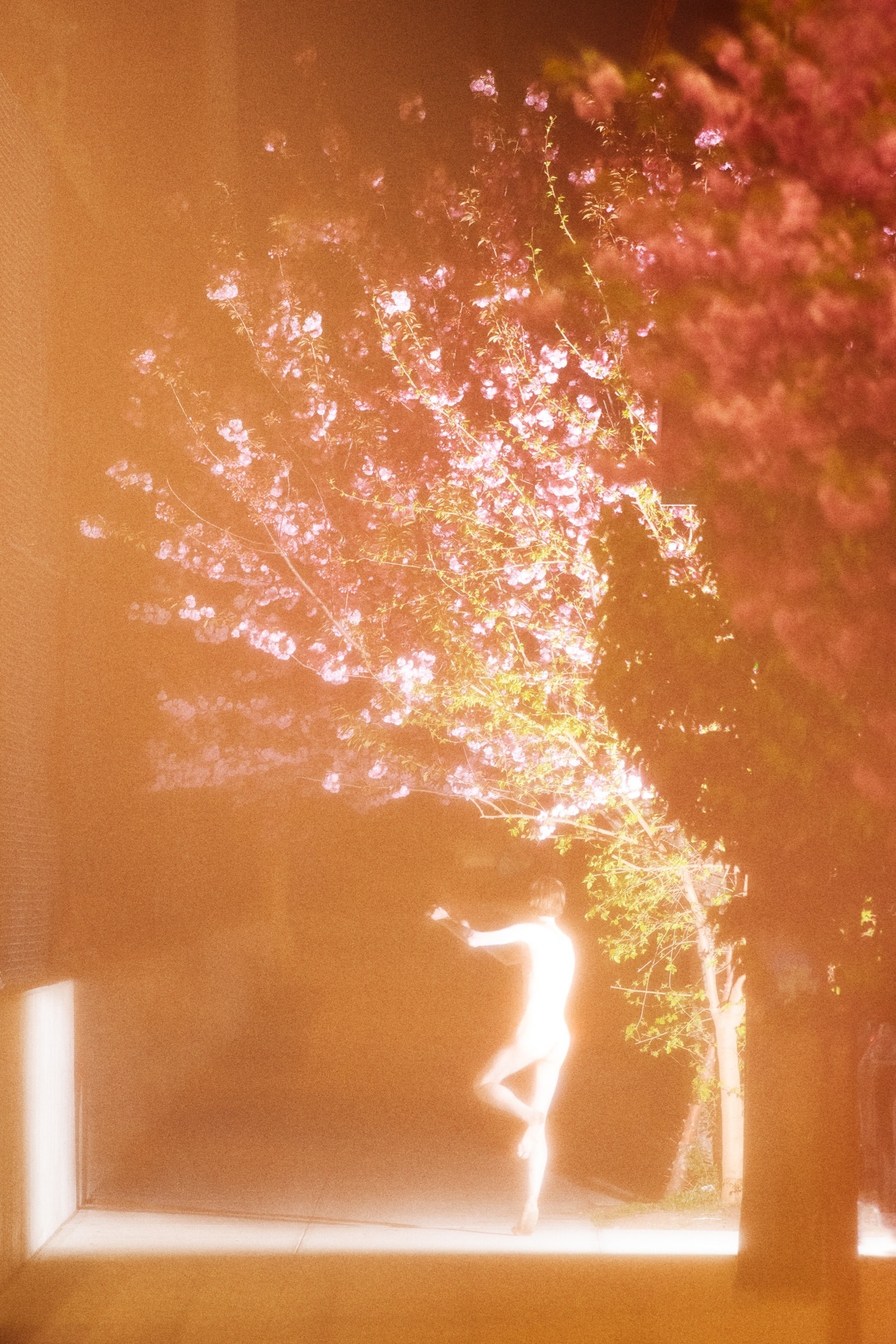 Night Shift by Ryan McGinley New York Series Interview