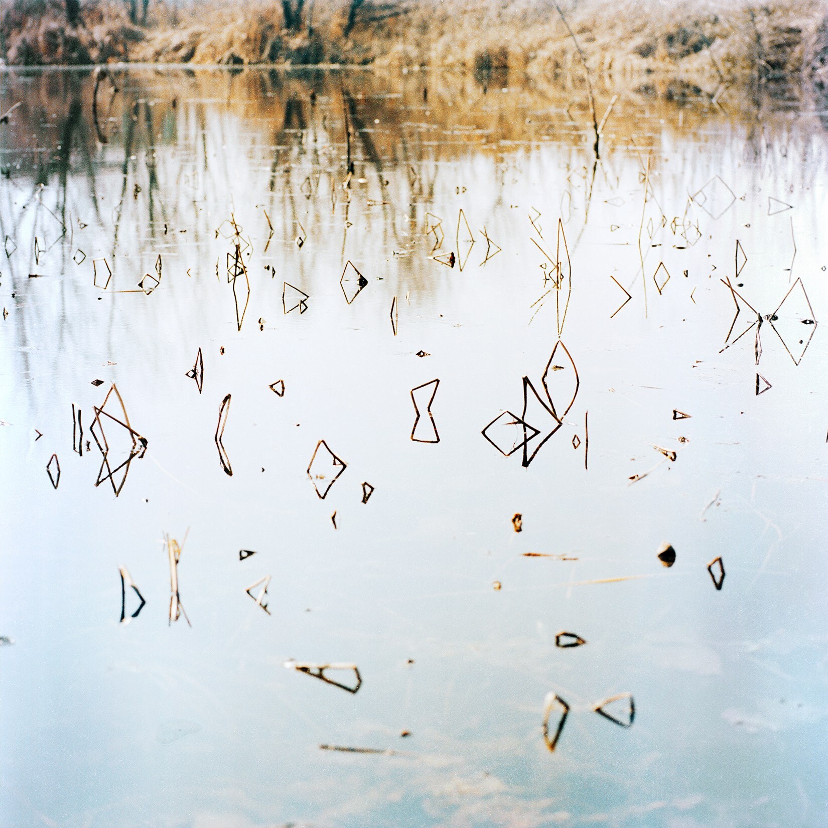 Magnum Square Print Sale: On the Horizon