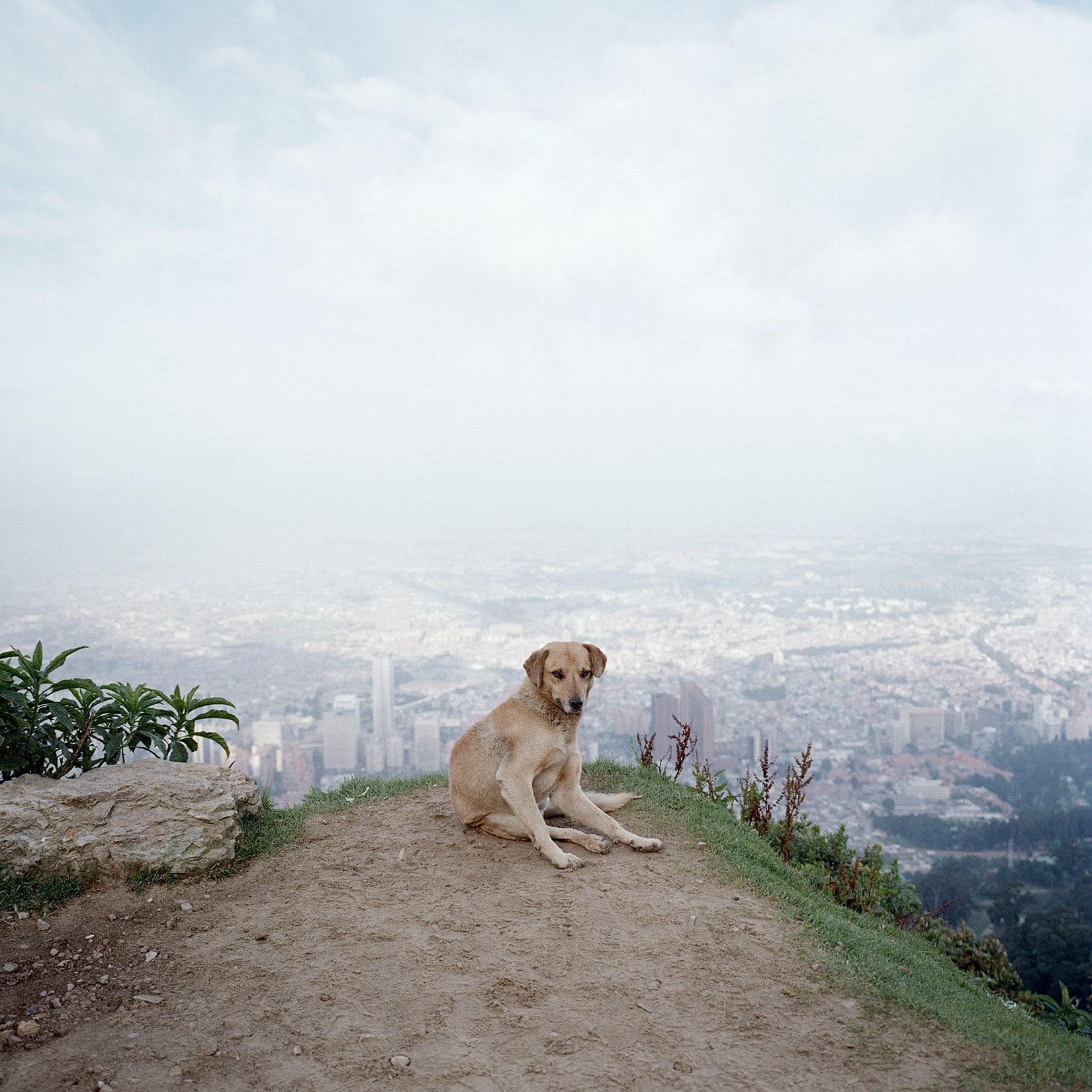 Magnum Square Print Sale: On the Horizon