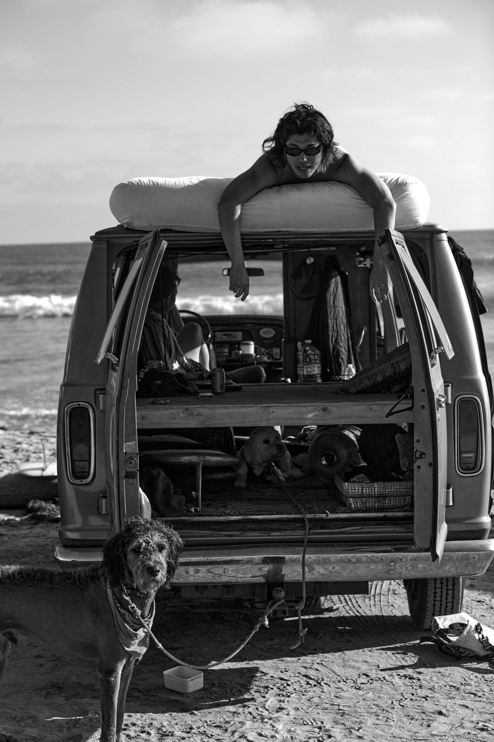 Into The Wild by Matthew Brookes