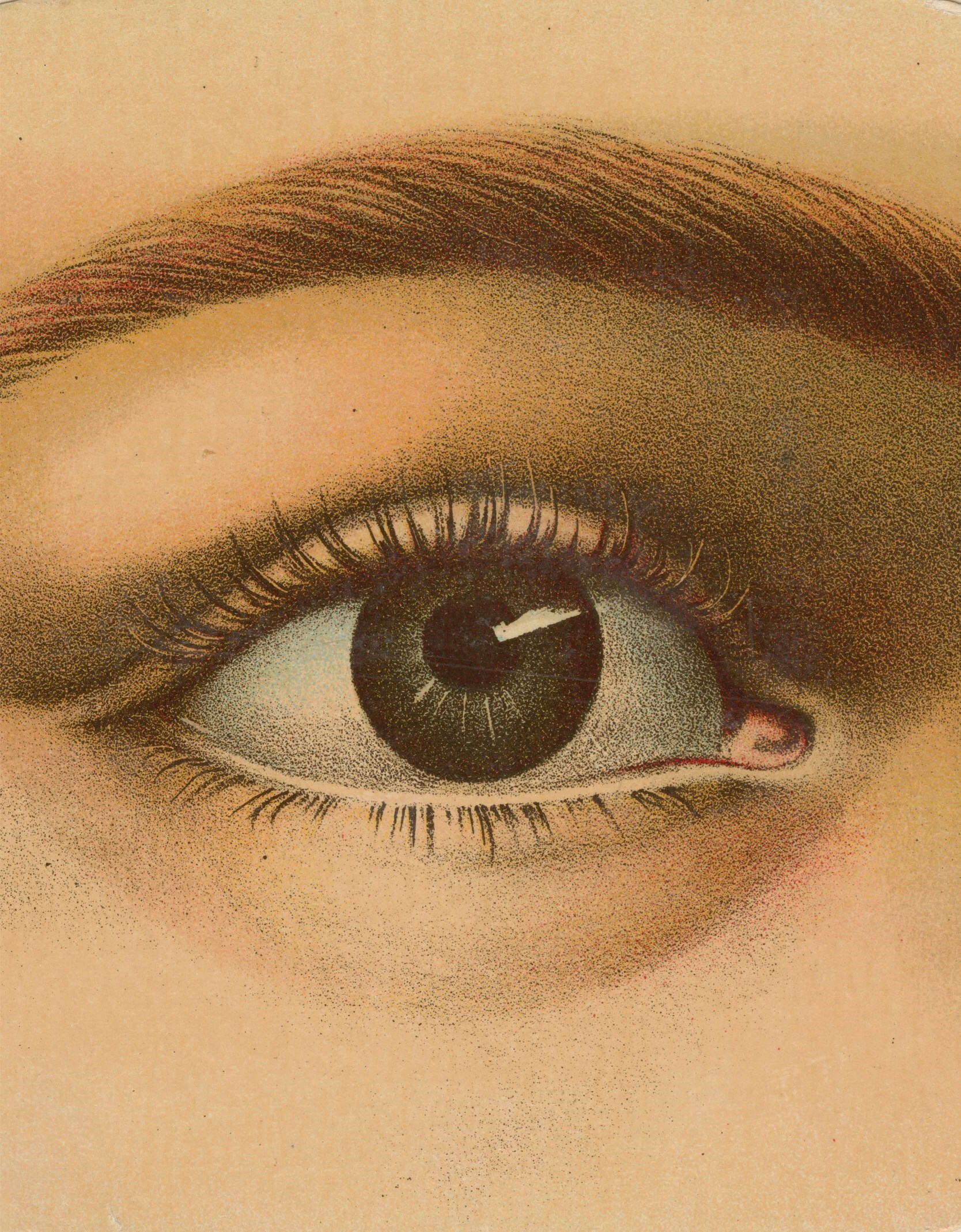 John Derian