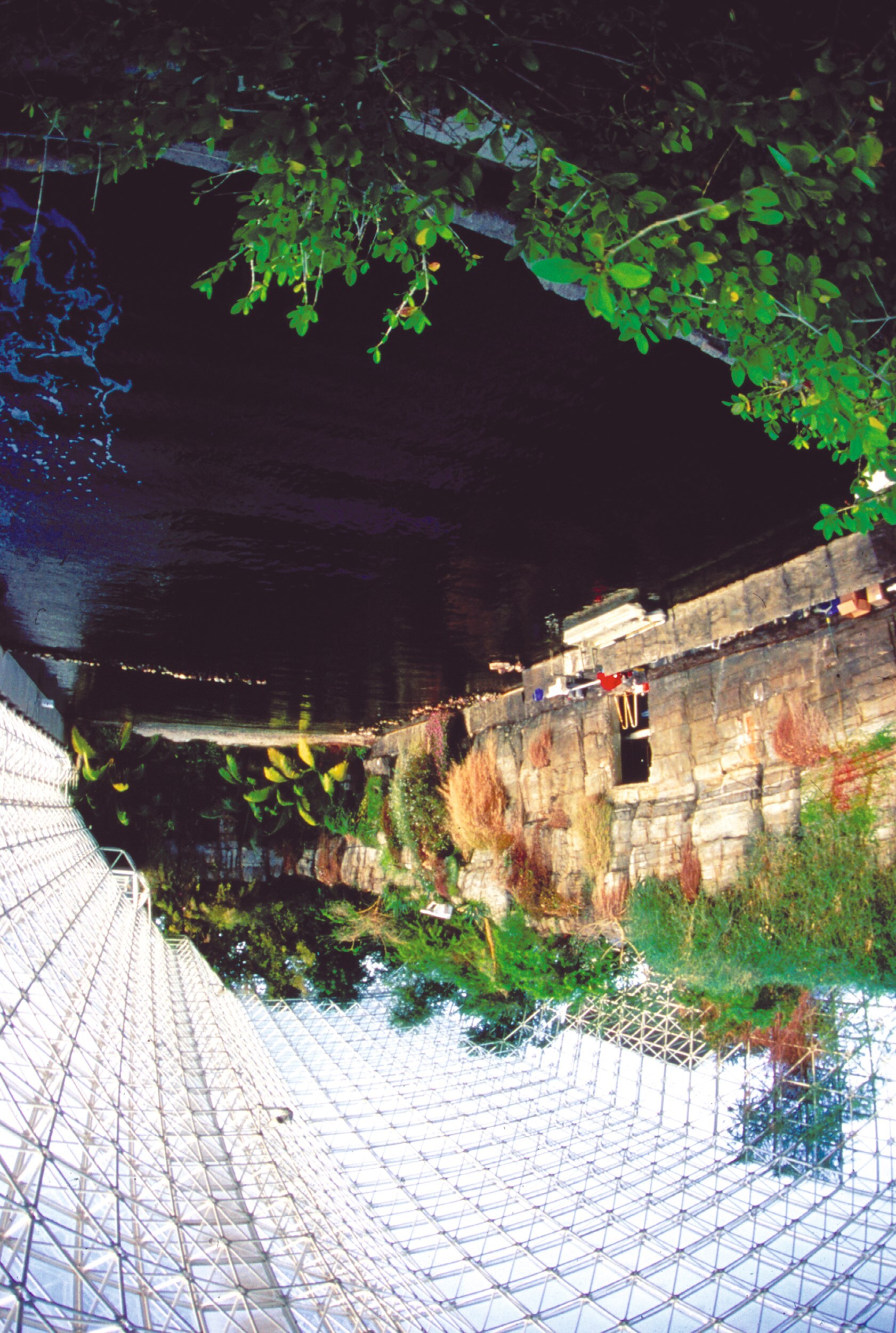AN38_AL9_KathelinGray_08_150dpi