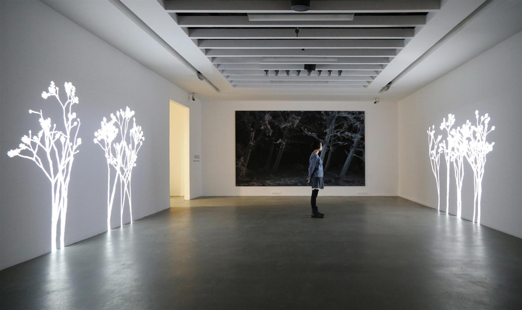 Lightweeds-SimonHeijdens-AKBANK_SANAT-Dec2015-Land