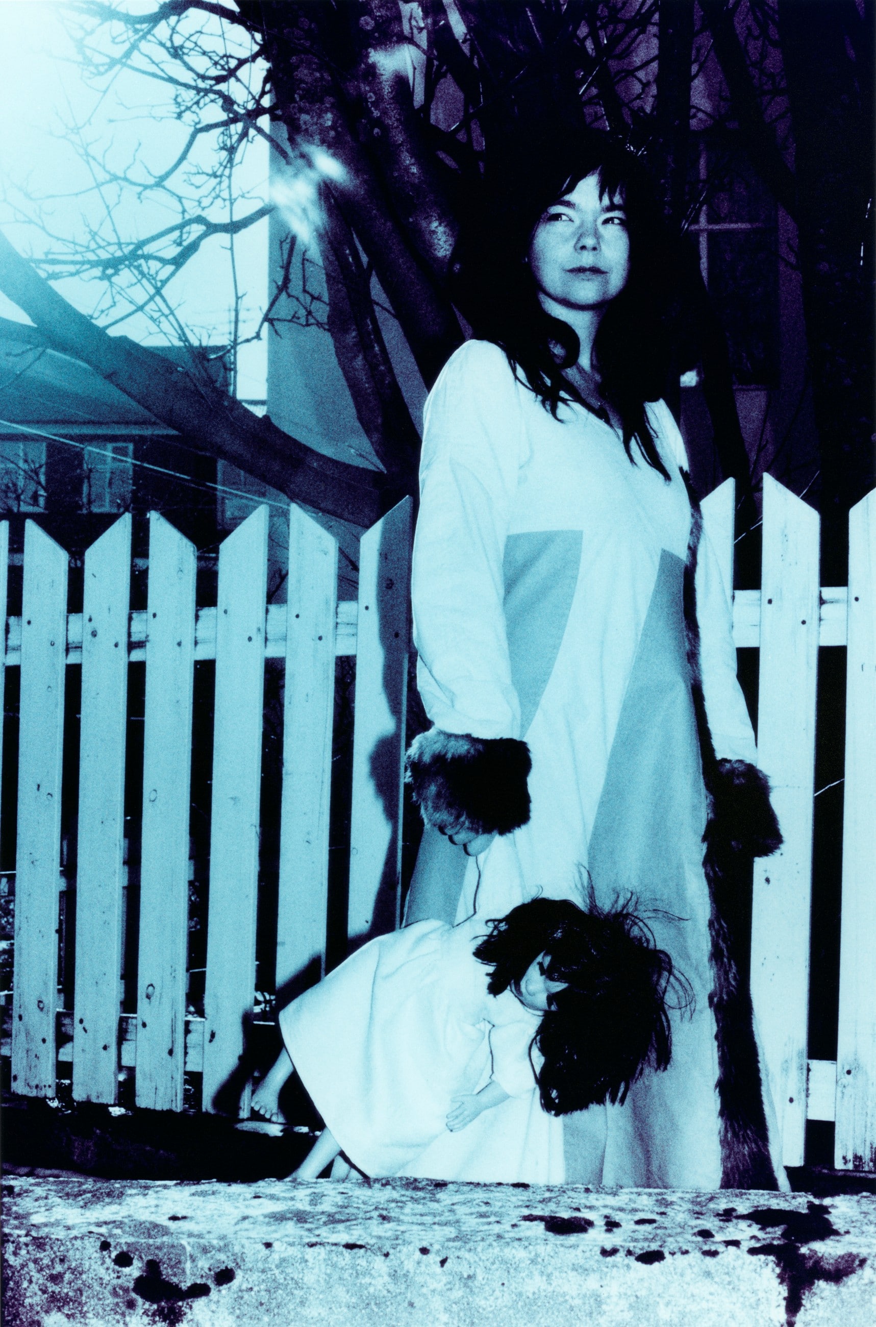 Bj&#246;rk, Reykjav&#237;k, 1999